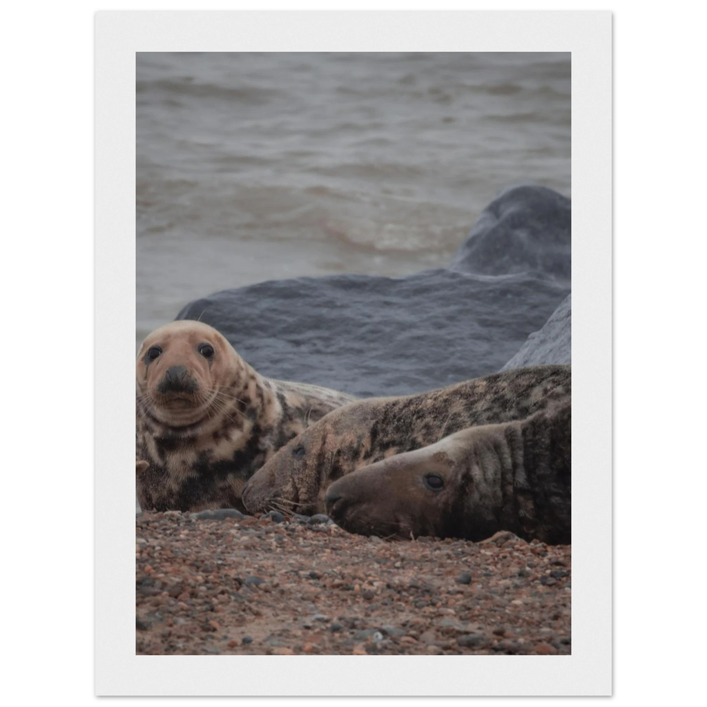 019d554b-4e38-4f96-bbf8-98581ae55ed3