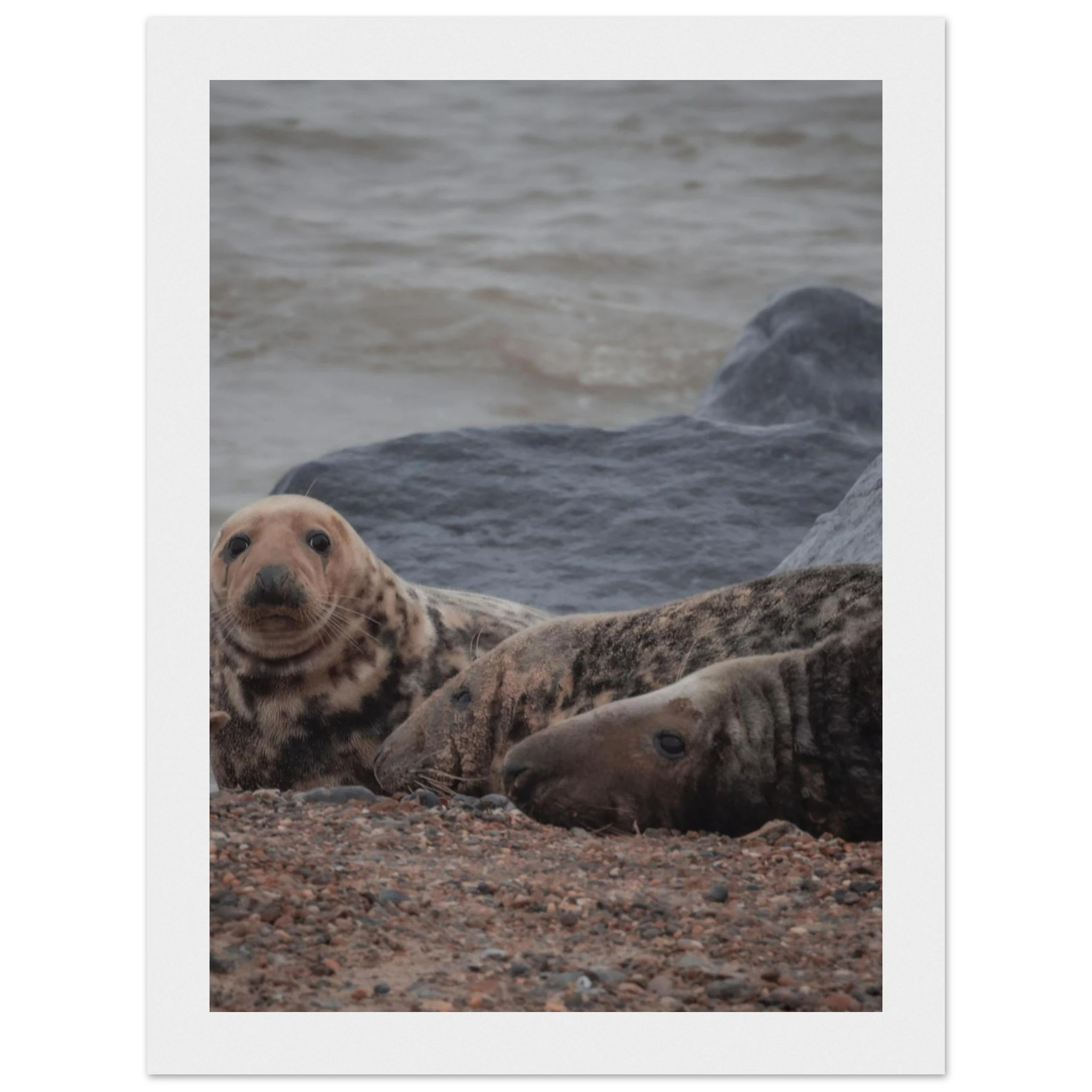 019d554b-4e38-4f96-bbf8-98581ae55ed3