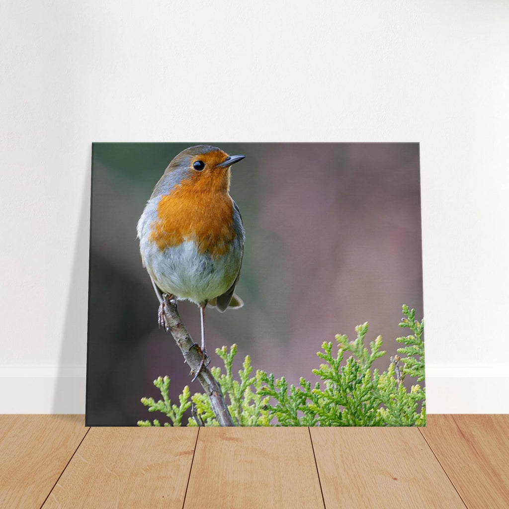 0c866d5a-3c37-4d44-8fe5-9ca7a76ead57