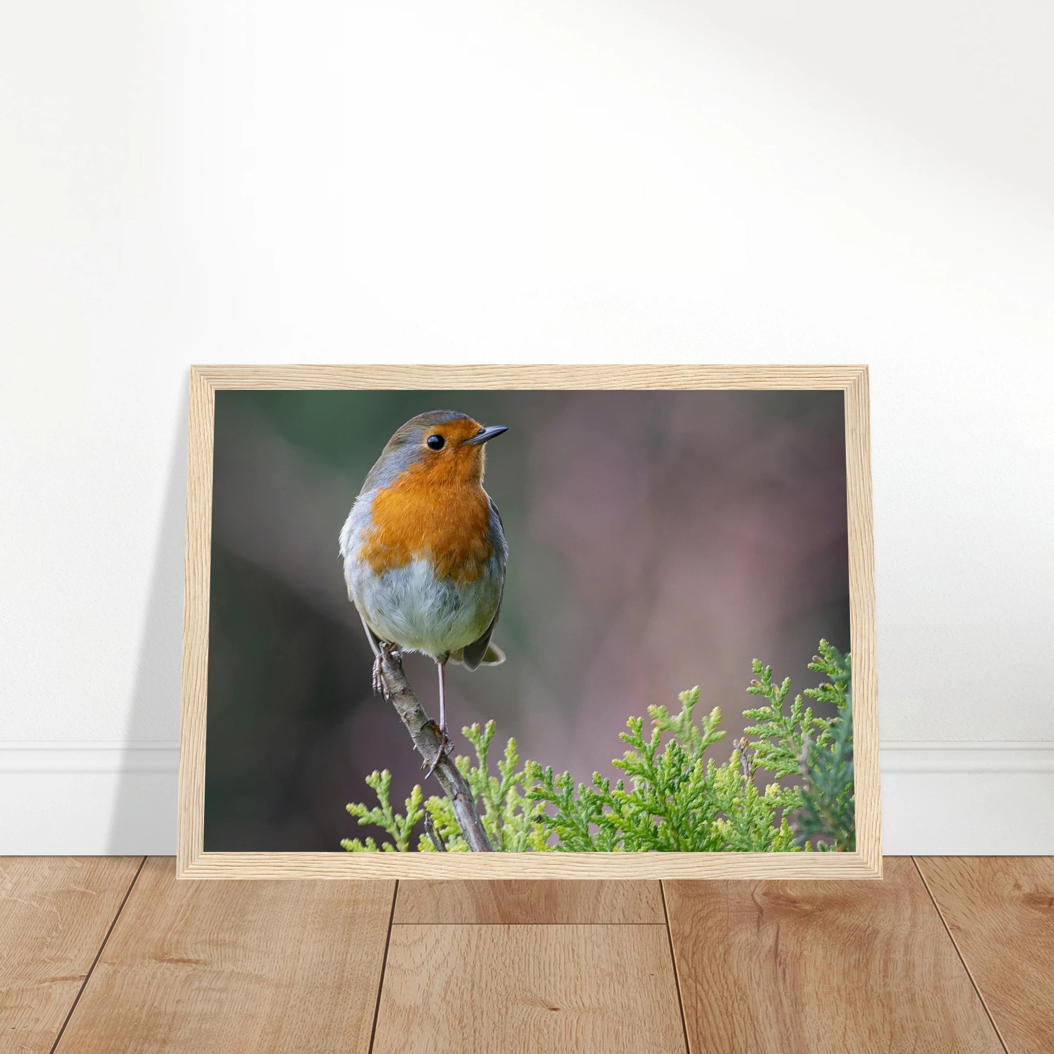 0cf9c1cc-d37a-4ebf-a742-6d373b7ed627