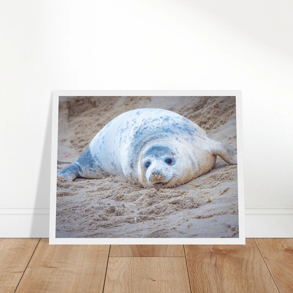 12c5c77d-7810-4a32-aa00-d2845e486de5