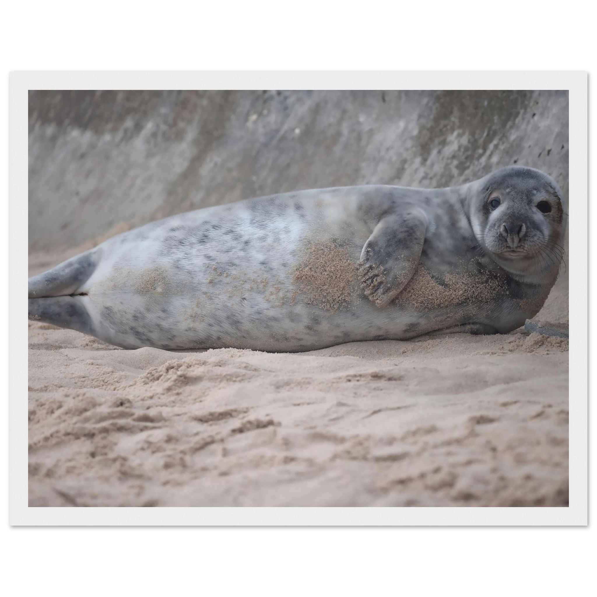 15154317-eaf2-426f-8a58-54f2bd865eec