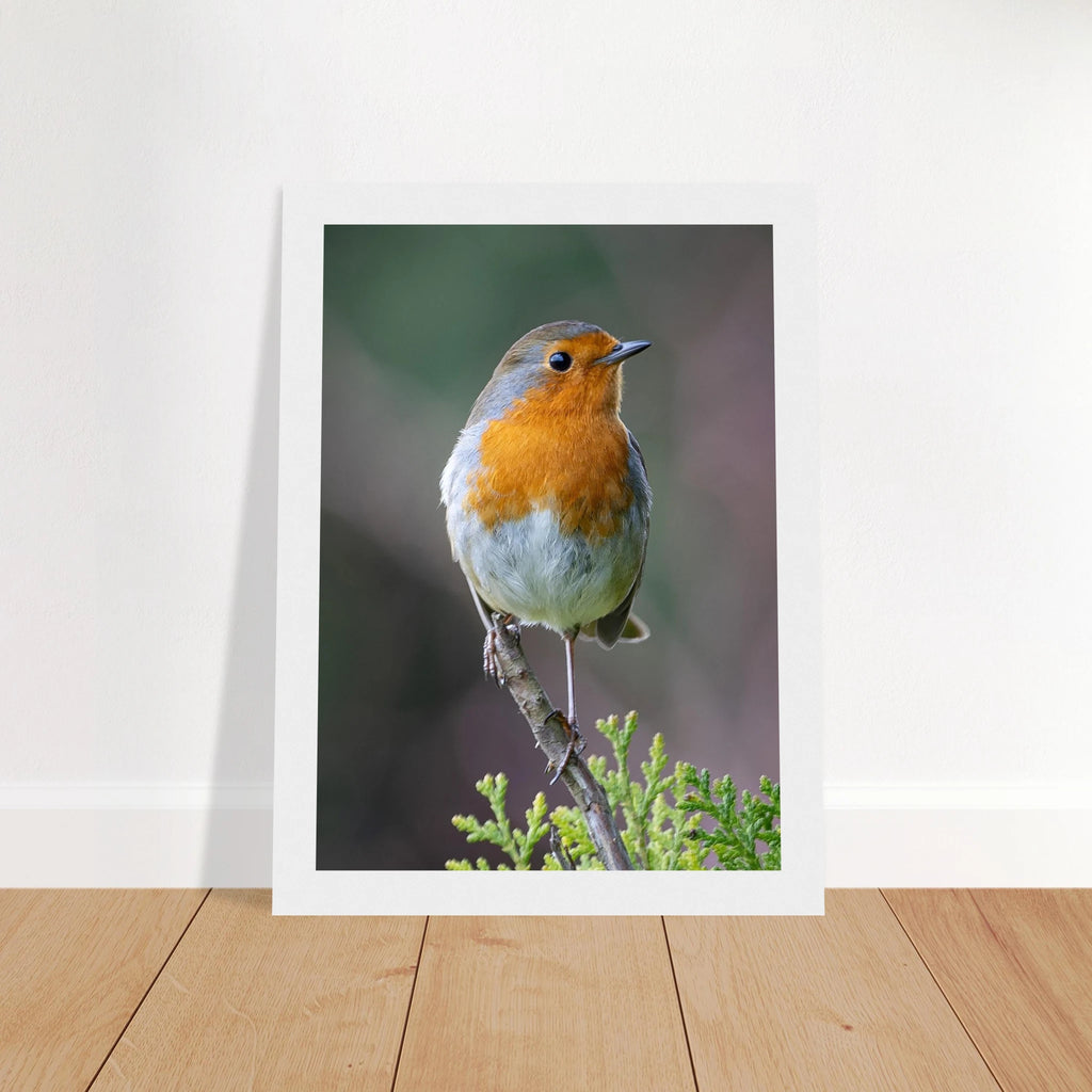 178fe9ab-6c58-45e1-b063-e409d7dd0dc8