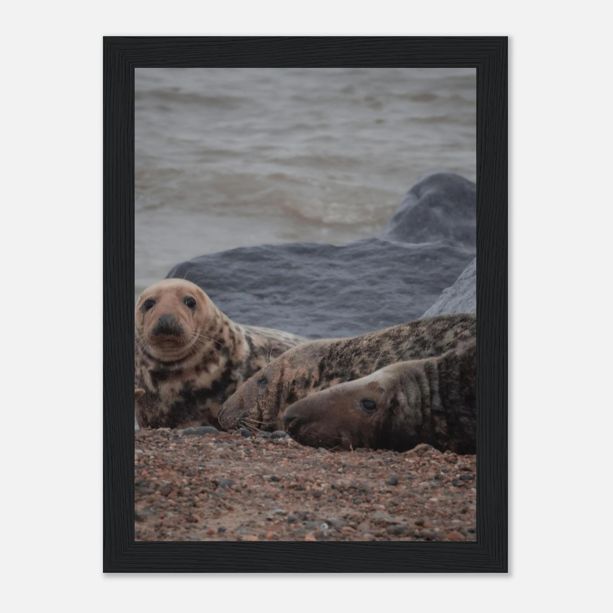 18780c3e-928c-4225-897a-b3fa509d3d3c