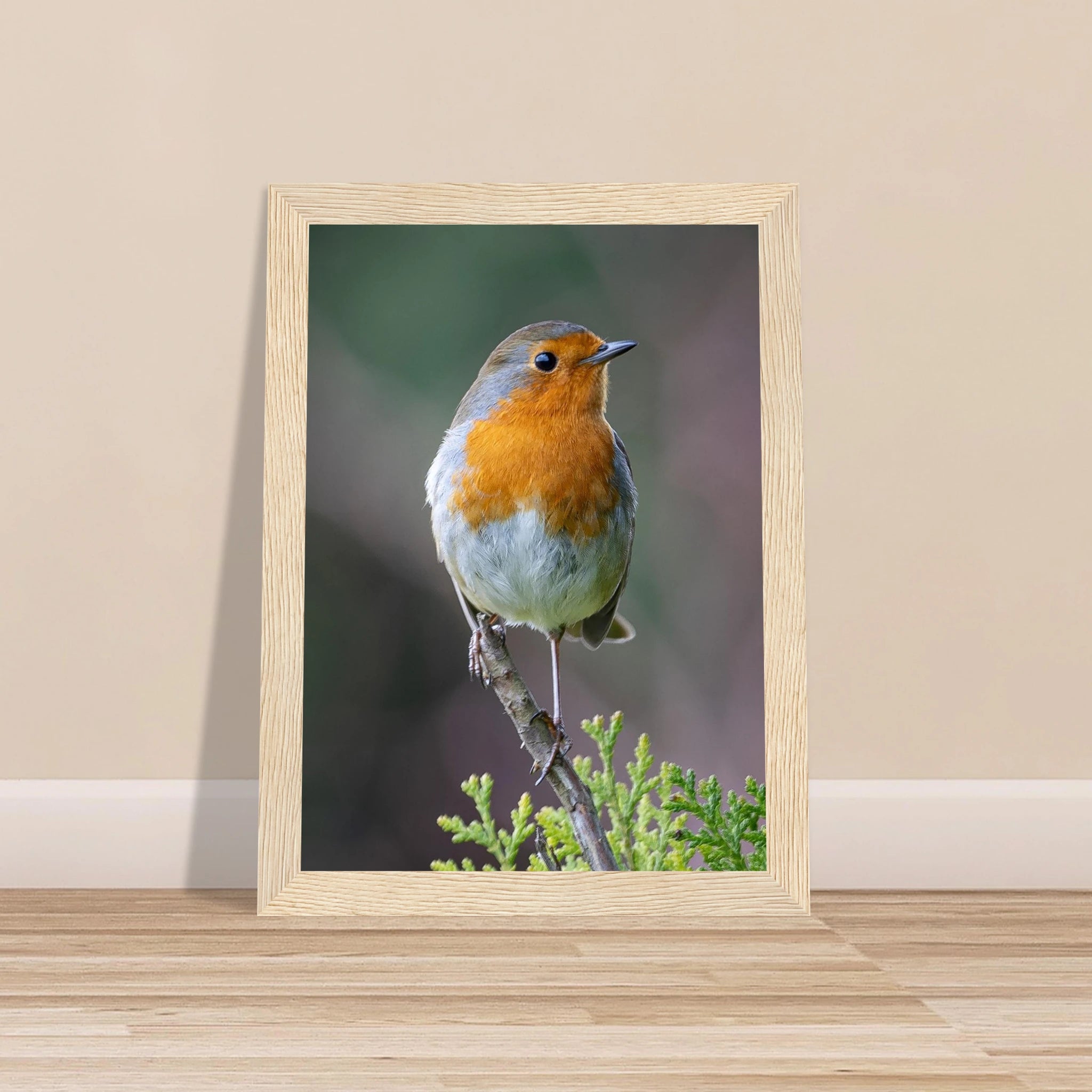 19adc019-7c68-47c0-9146-fc398eb75178