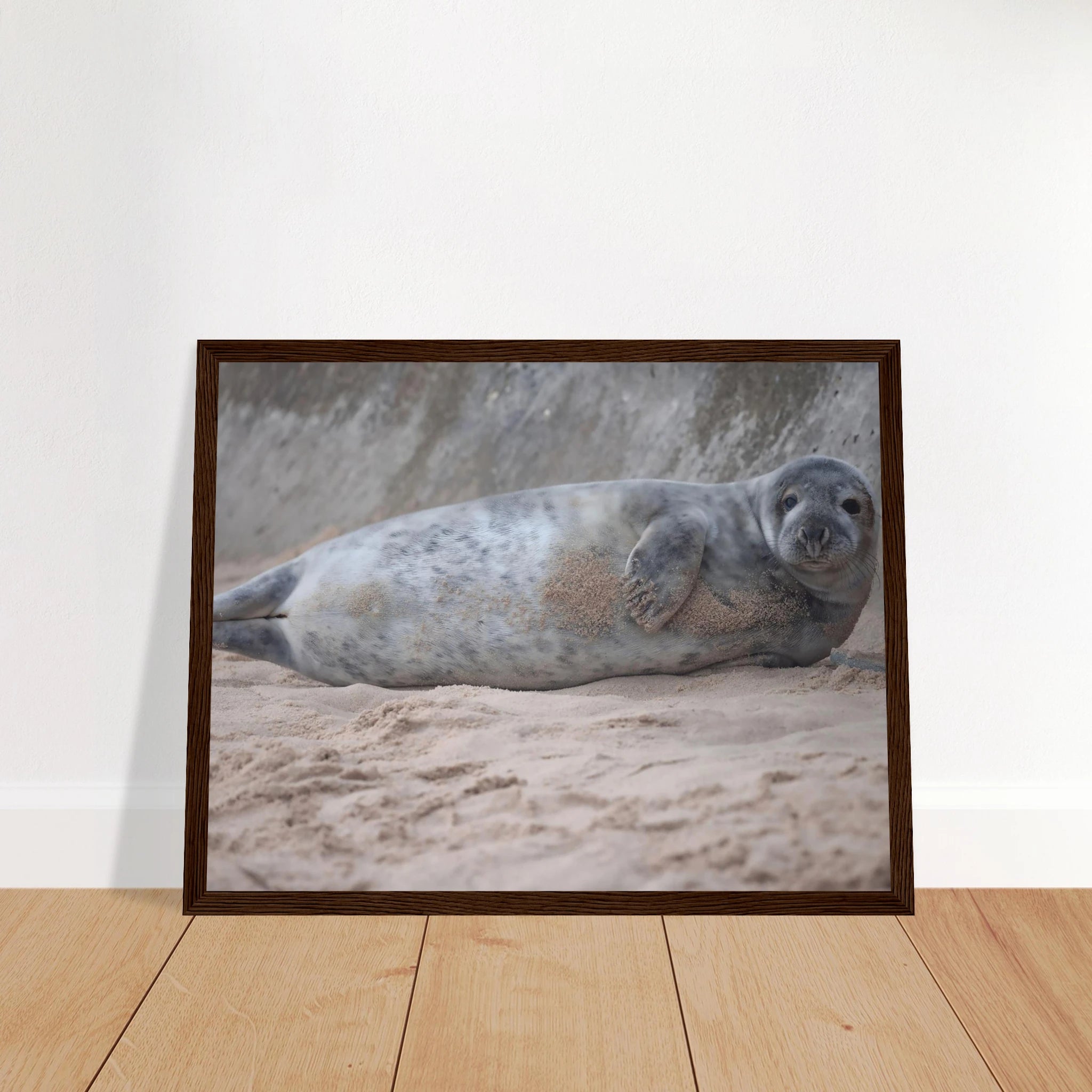 1fb5cded-911d-44ee-8f52-ecaf16581053