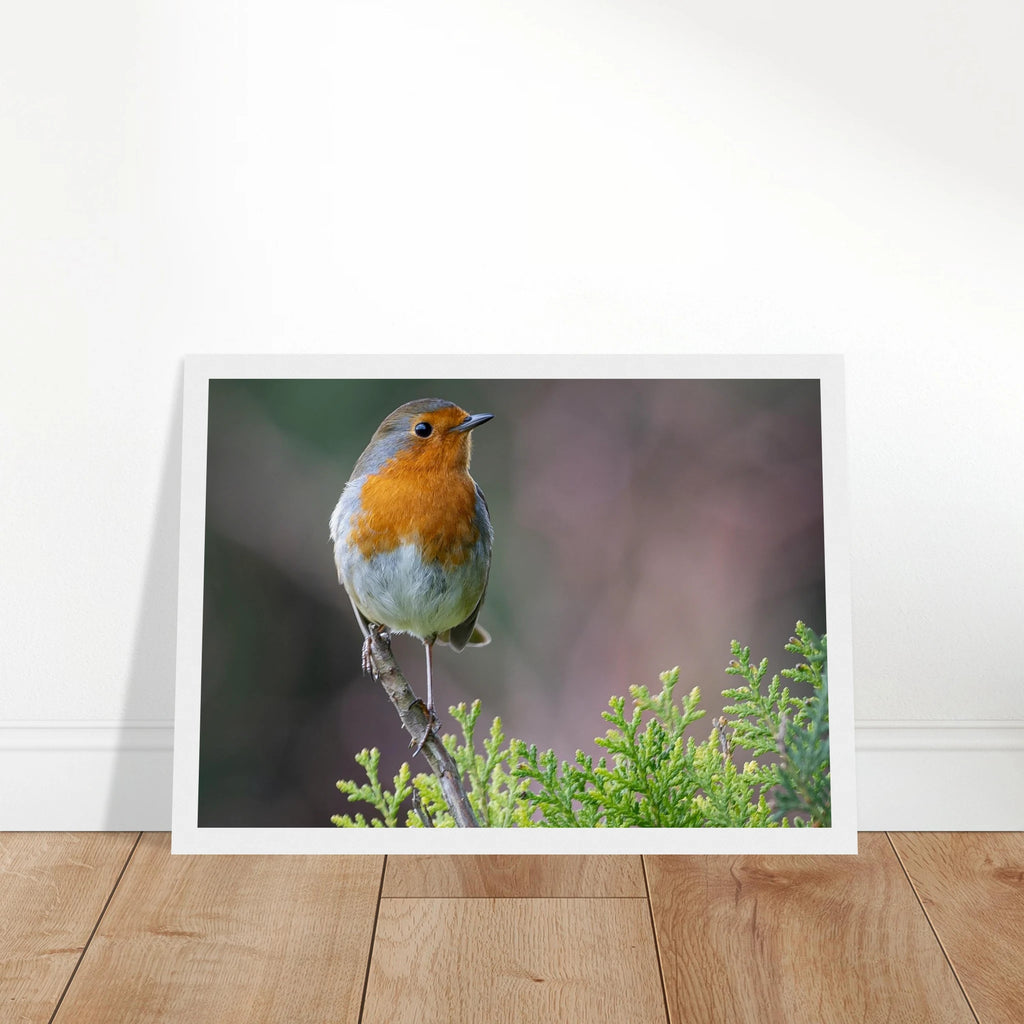 203f7345-e3bc-408a-b9f9-afeaa2adda3f