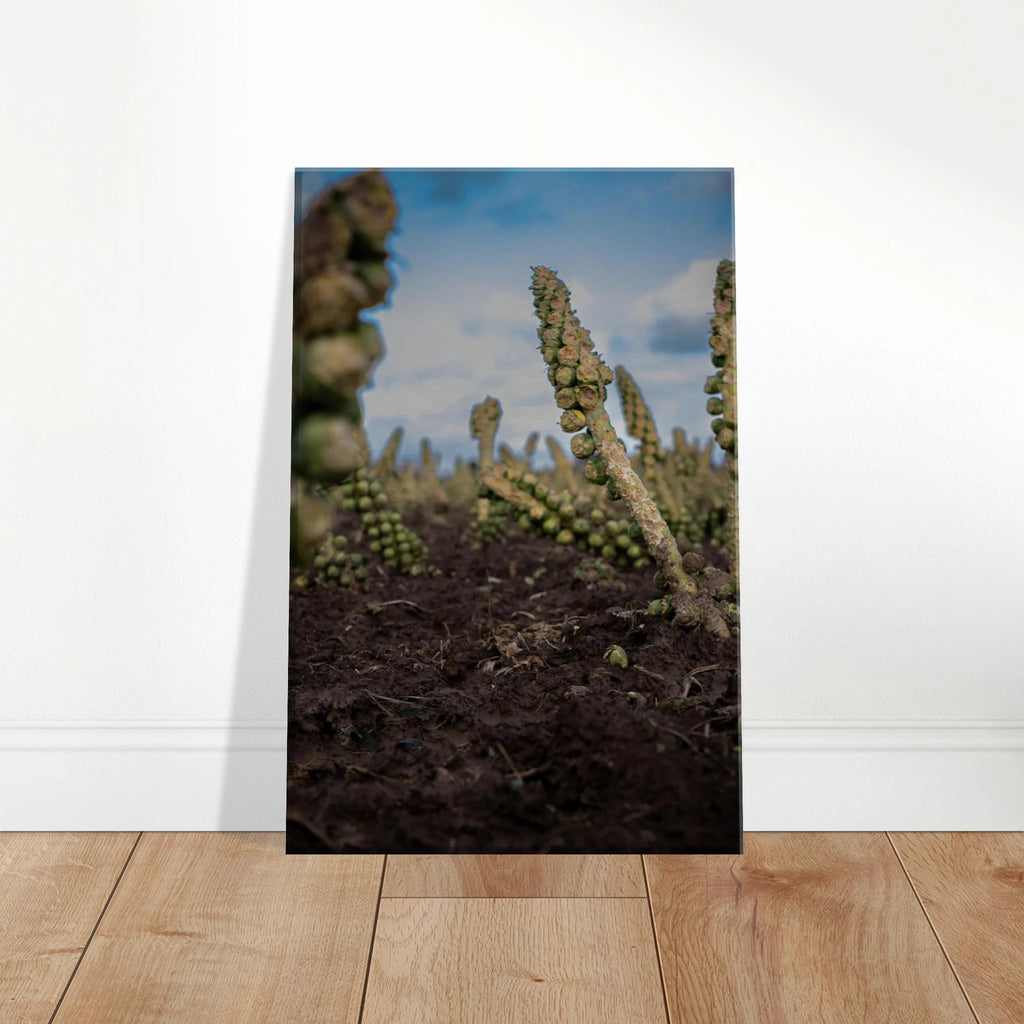 2f2d0ceb-7853-413a-829e-fecff2d19671