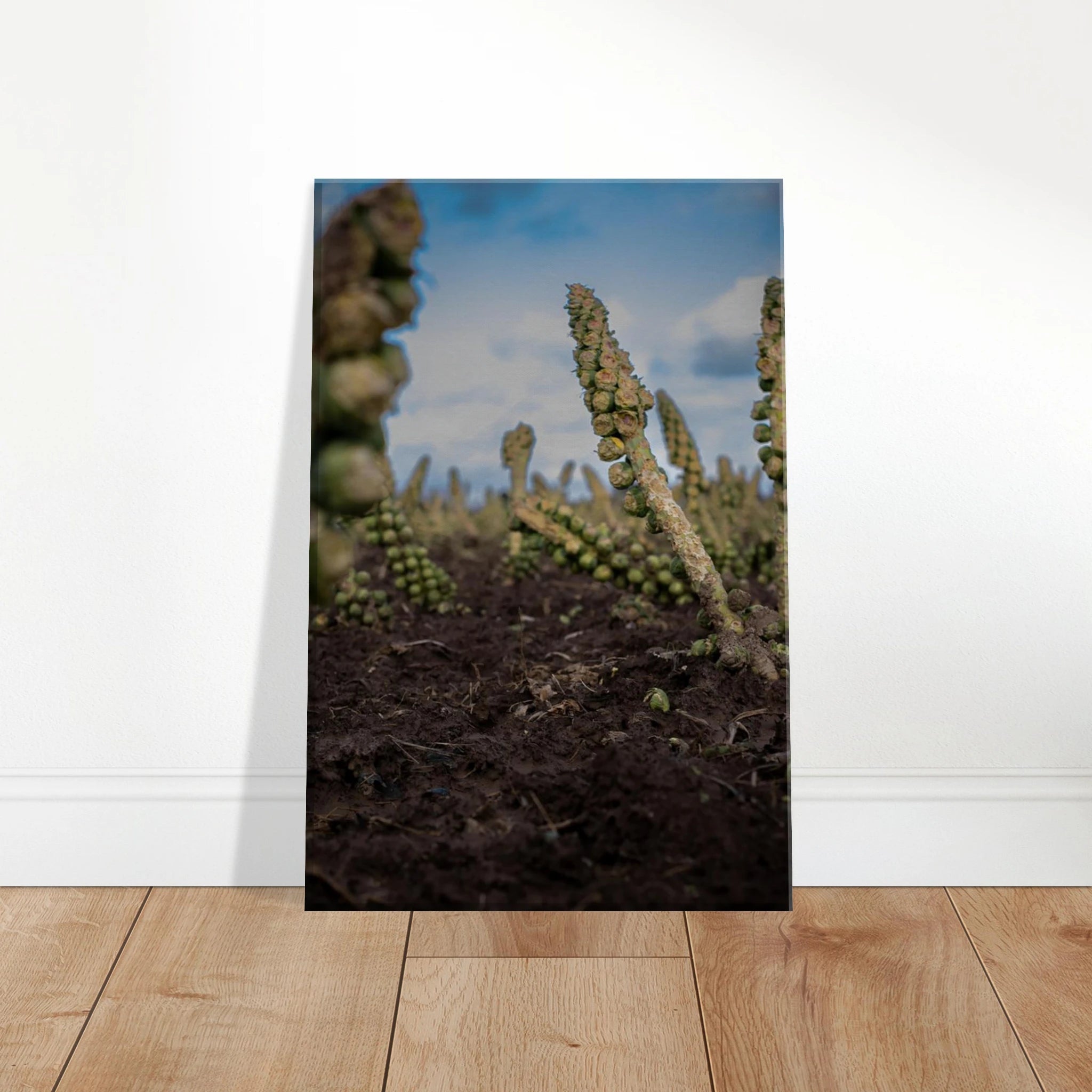 2f2d0ceb-7853-413a-829e-fecff2d19671