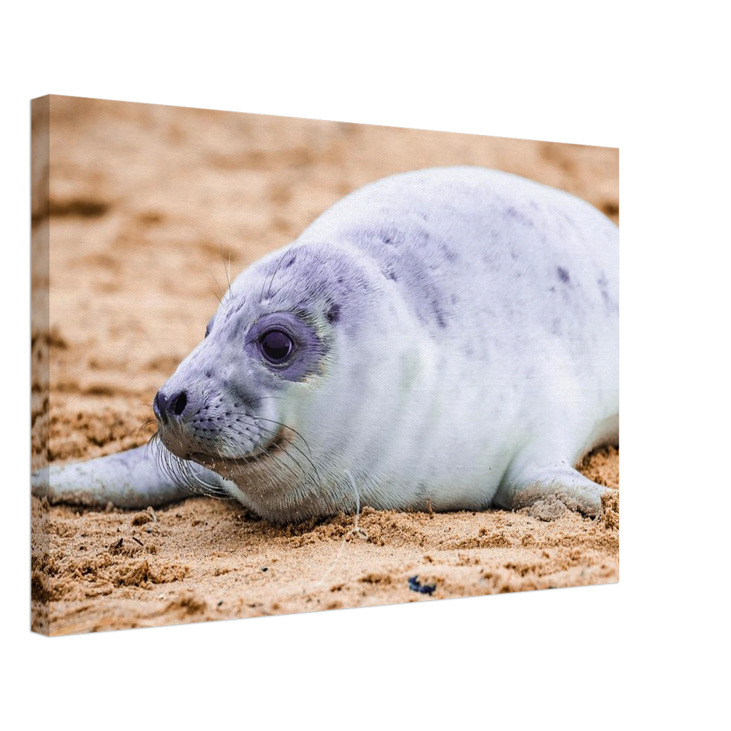 435589ba-7f98-41fd-9d82-0309a89c0c91