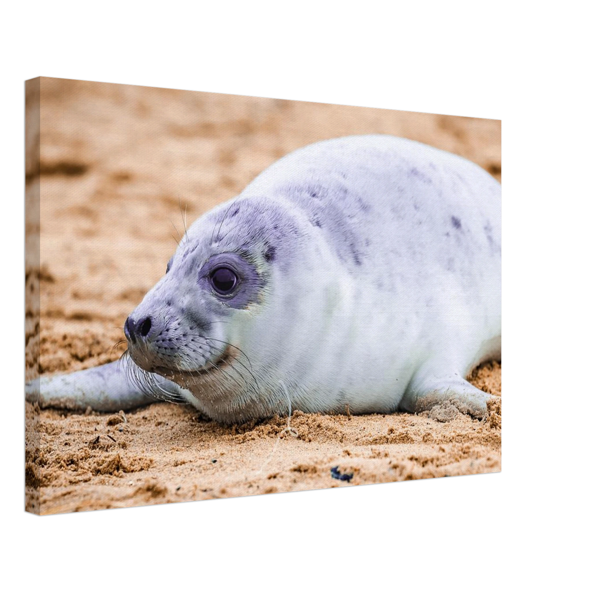 435589ba-7f98-41fd-9d82-0309a89c0c91