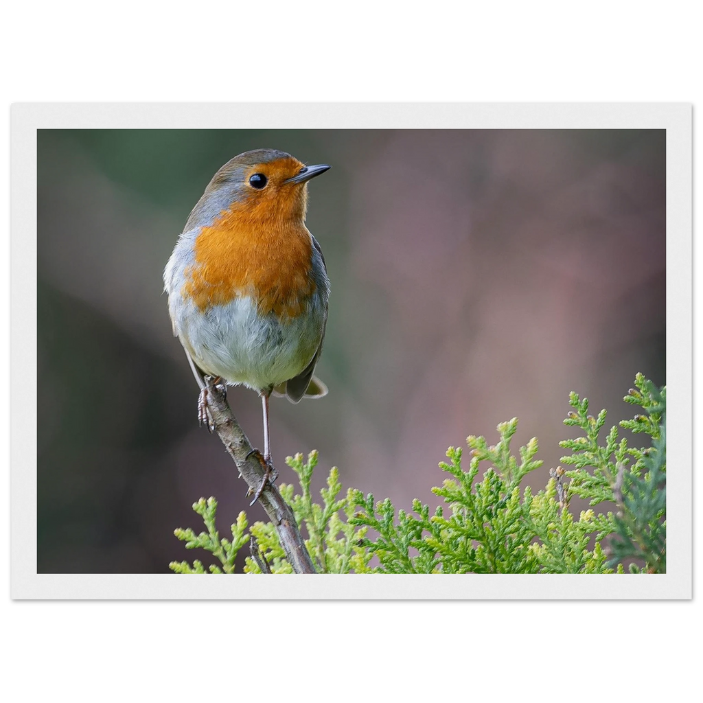 49b88a0b-e246-4e50-b641-df2945299a02