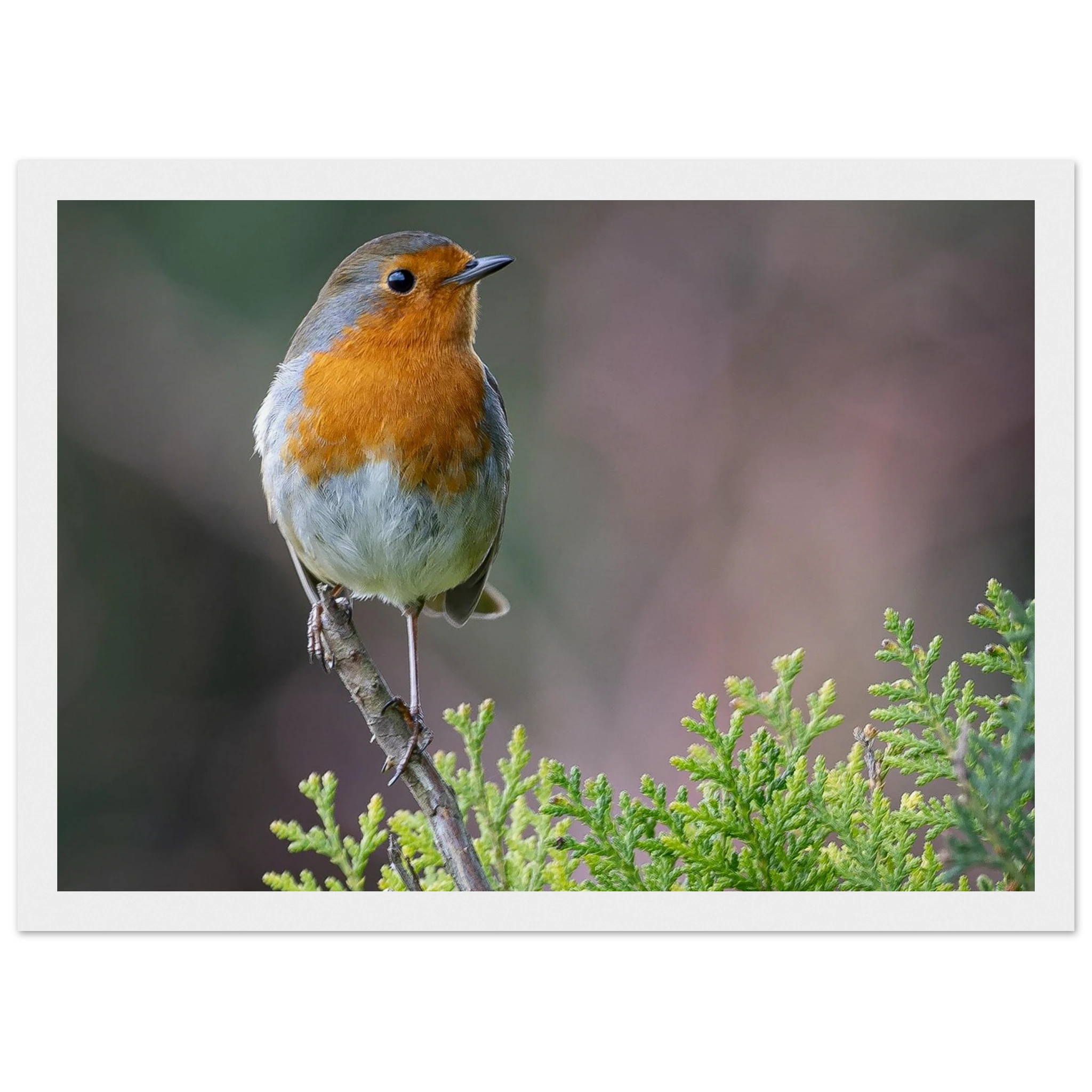 49b88a0b-e246-4e50-b641-df2945299a02