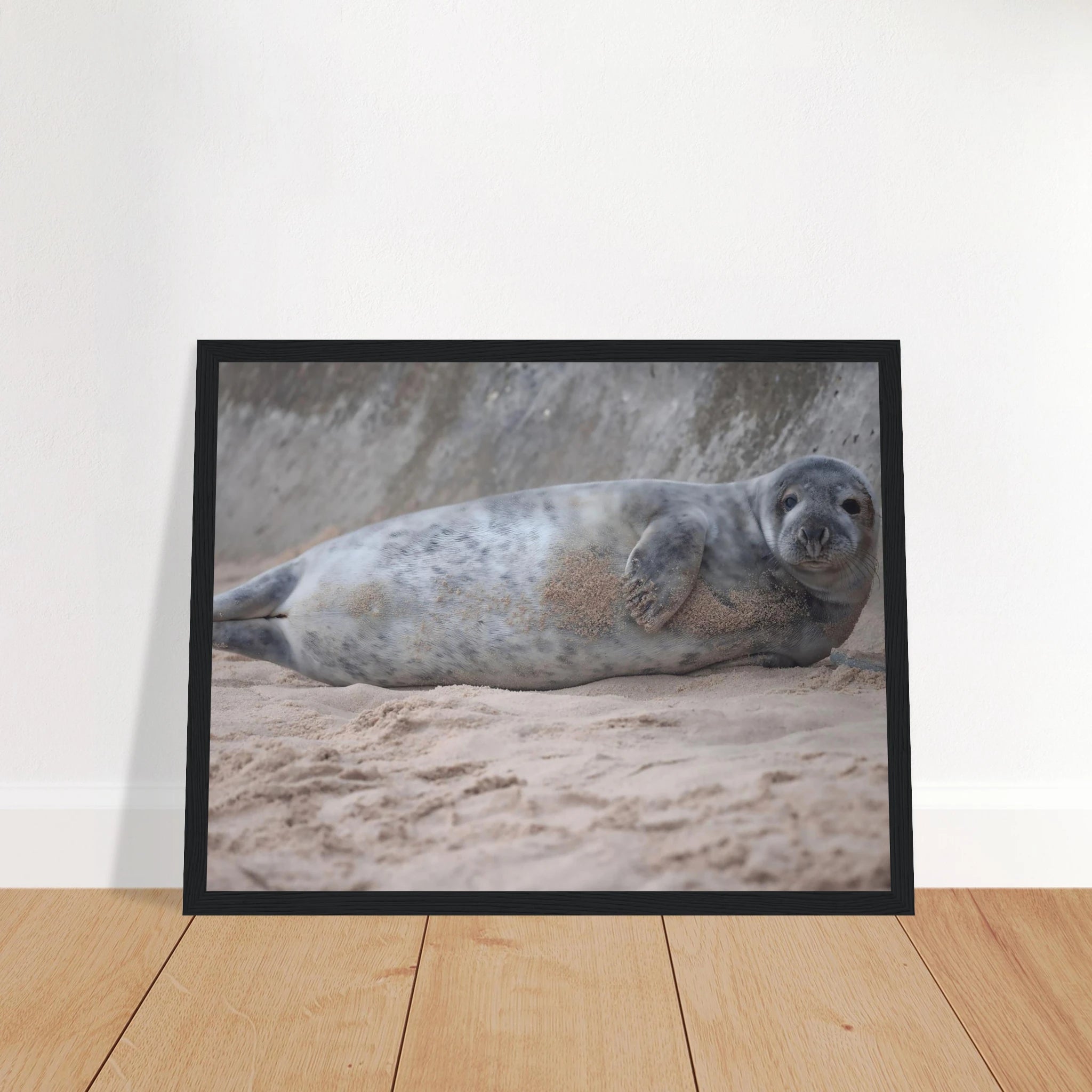 50335dd2-b4d1-43cb-87e8-c8c184d03b1d