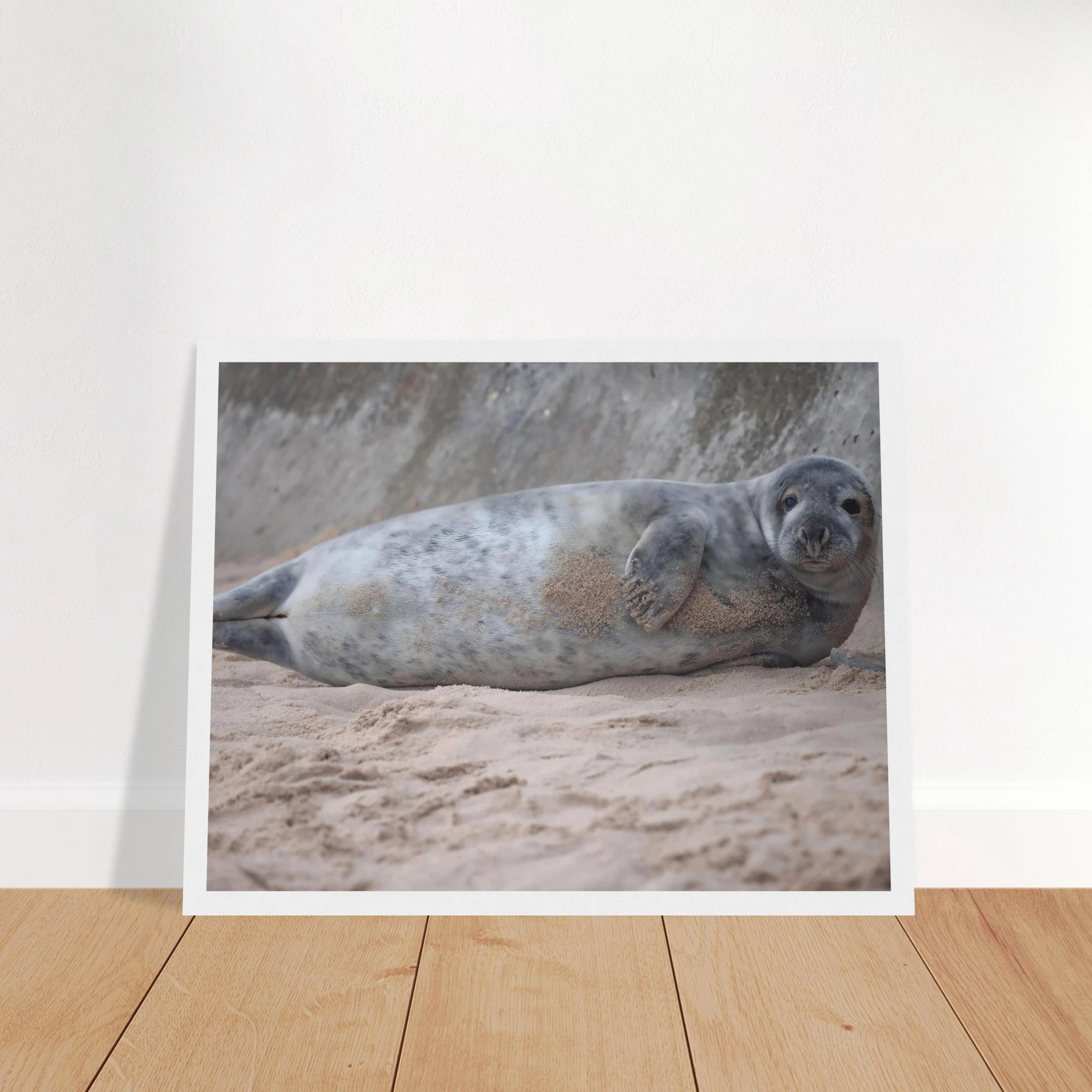 50a6a5ac-c5f3-44e7-82ad-f4d23b37ab44