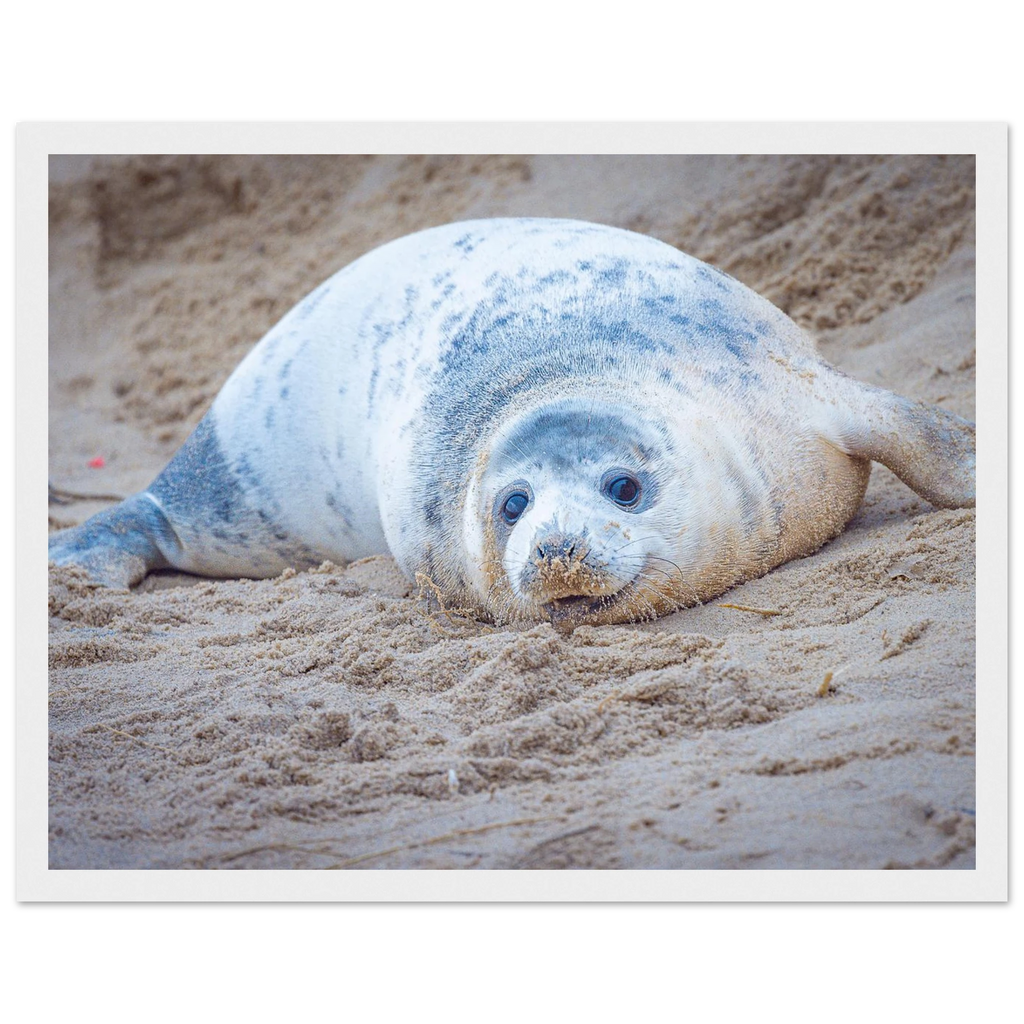 51fab1ba-813f-42ba-b169-61fc9752a40b