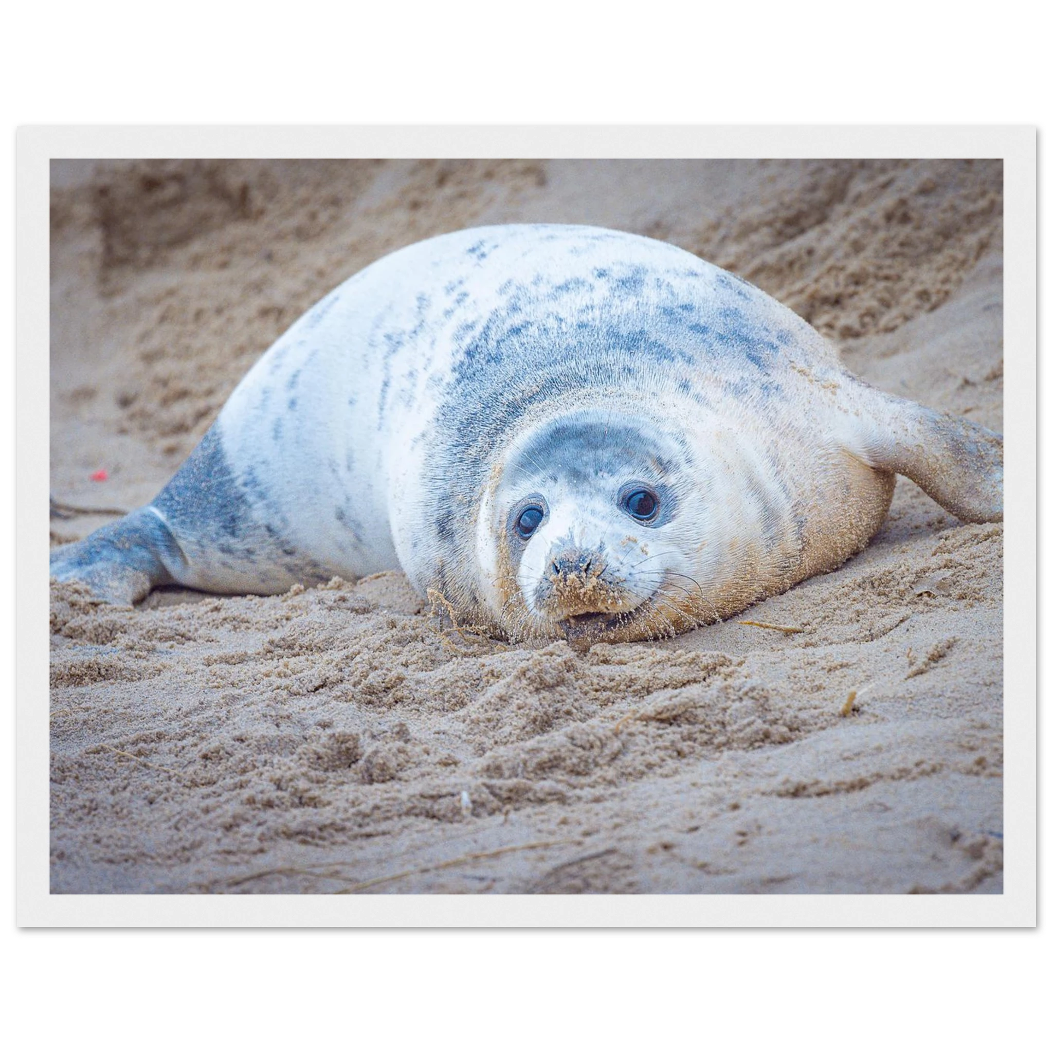 51fab1ba-813f-42ba-b169-61fc9752a40b