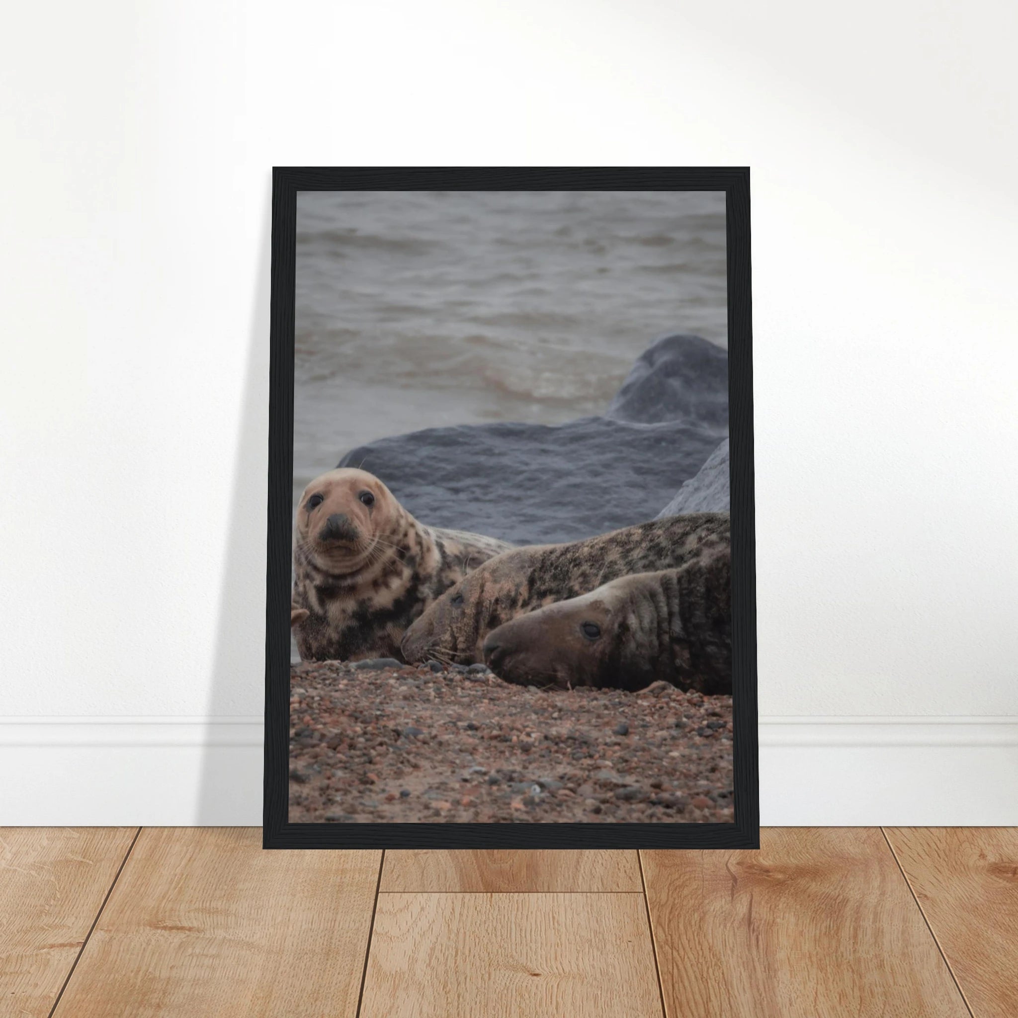 568ec49b-af4a-427e-8870-897db8dd7309