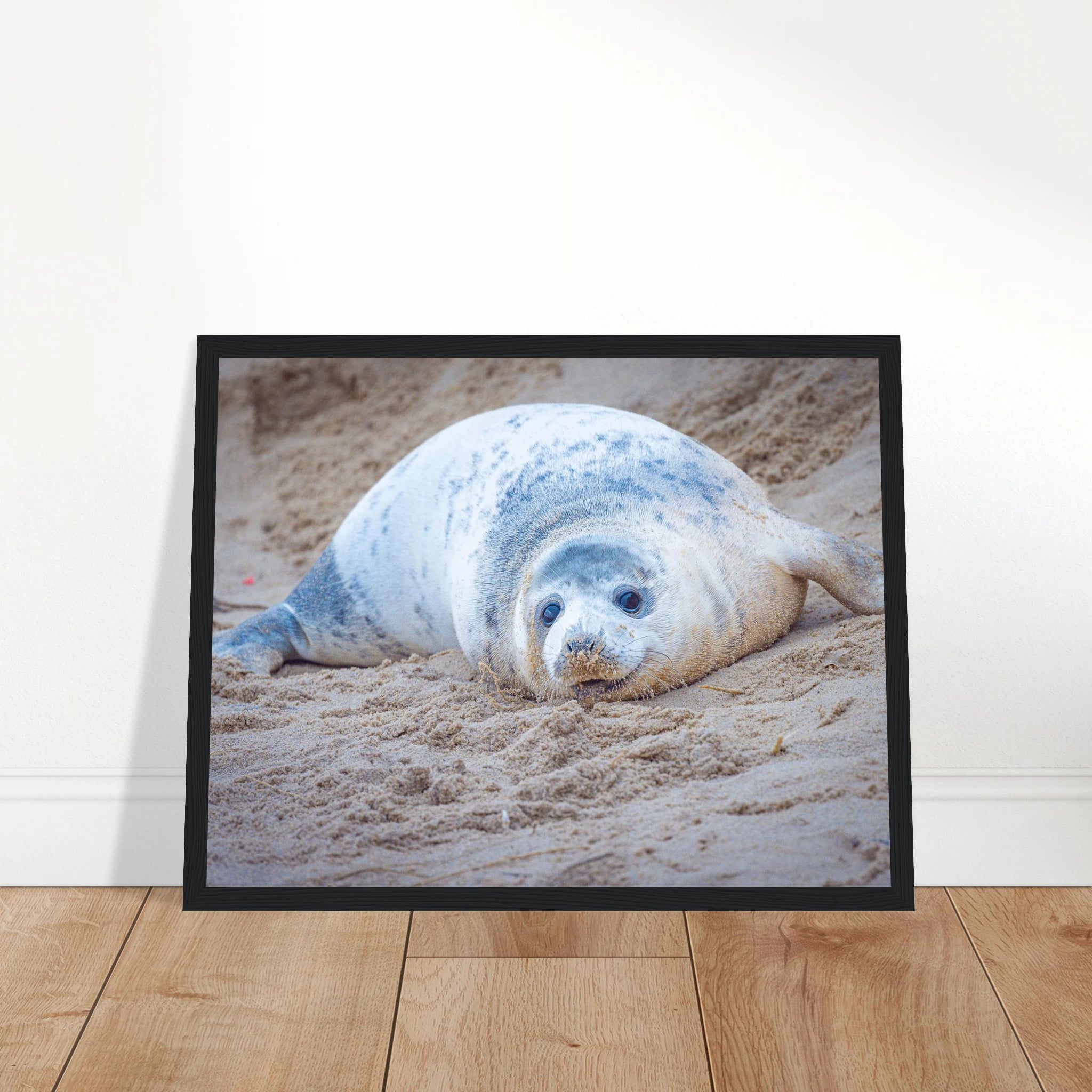 5cdea6b7-4861-4d2b-8573-7aff91b919c2