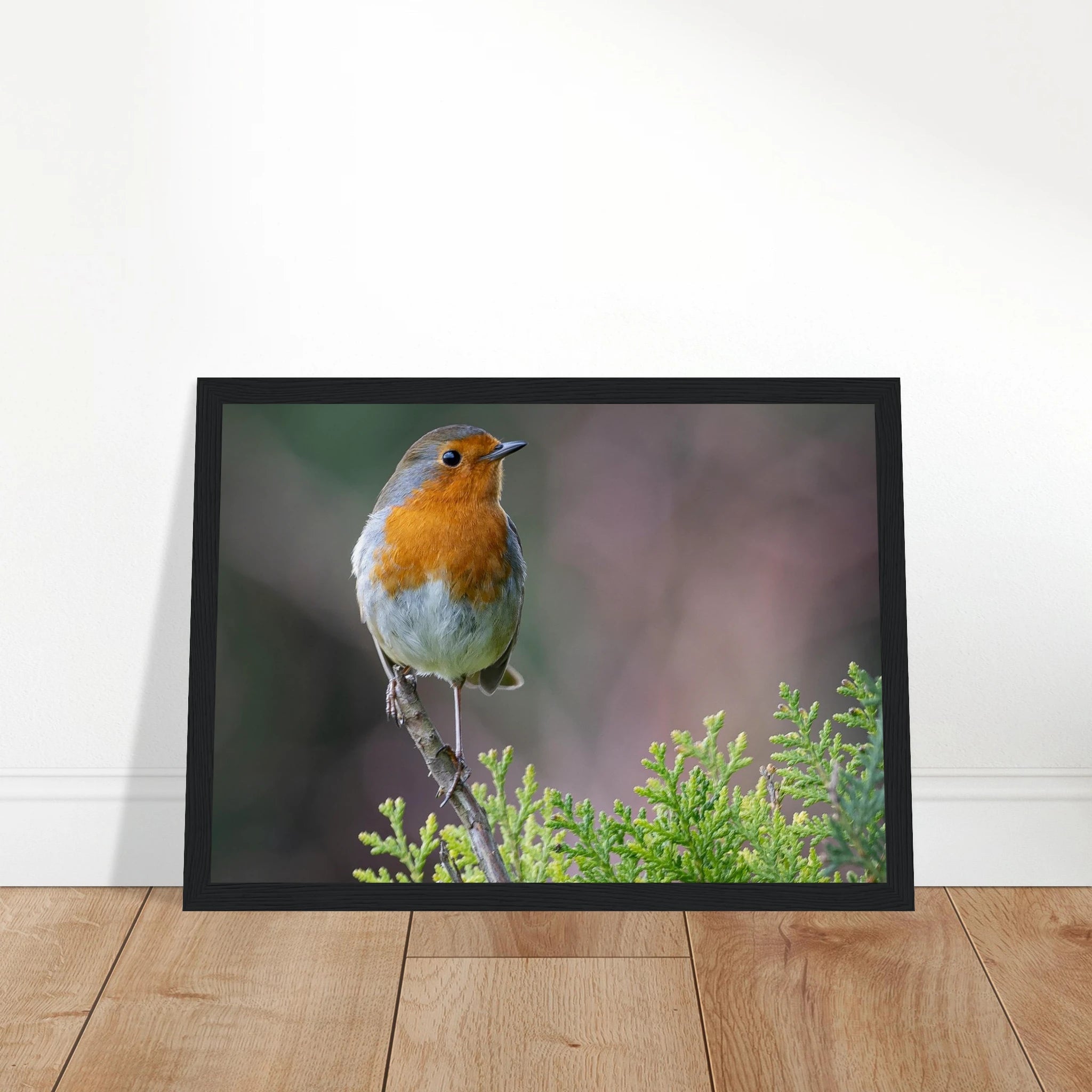 72e212db-e0f3-415b-b176-5200f9783287