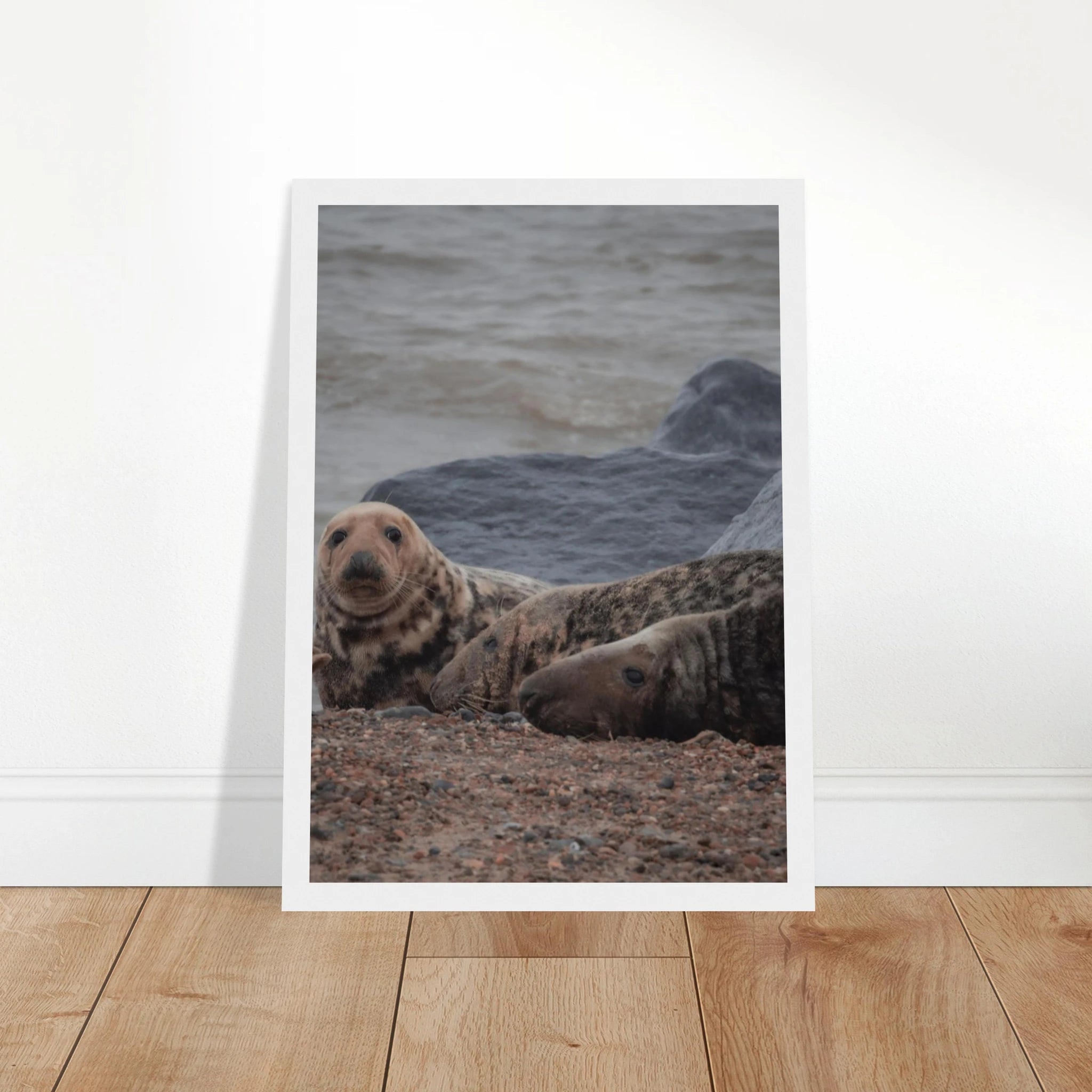 758b6895-cce5-486b-9e4a-e36f09f560fb