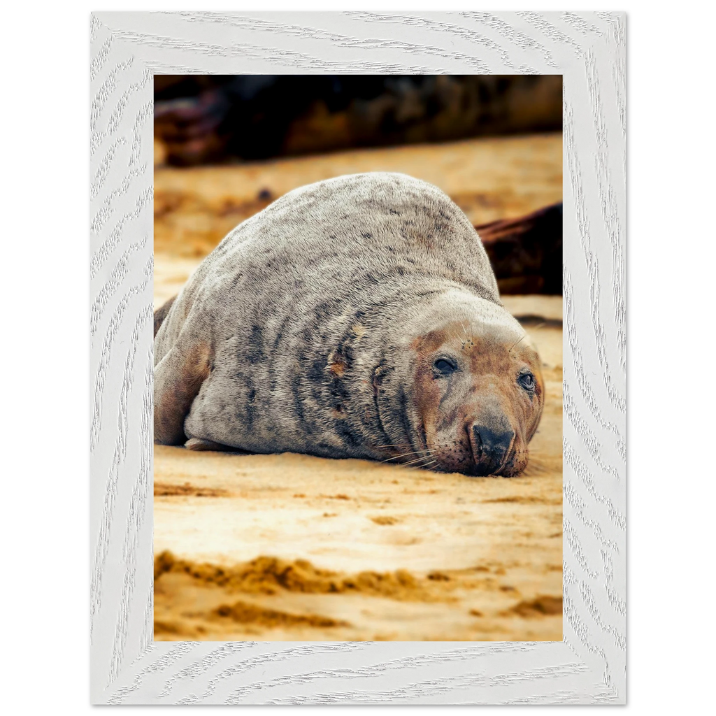 78bb3b53-e0f0-4bc6-95cd-0e4bc7967c1f