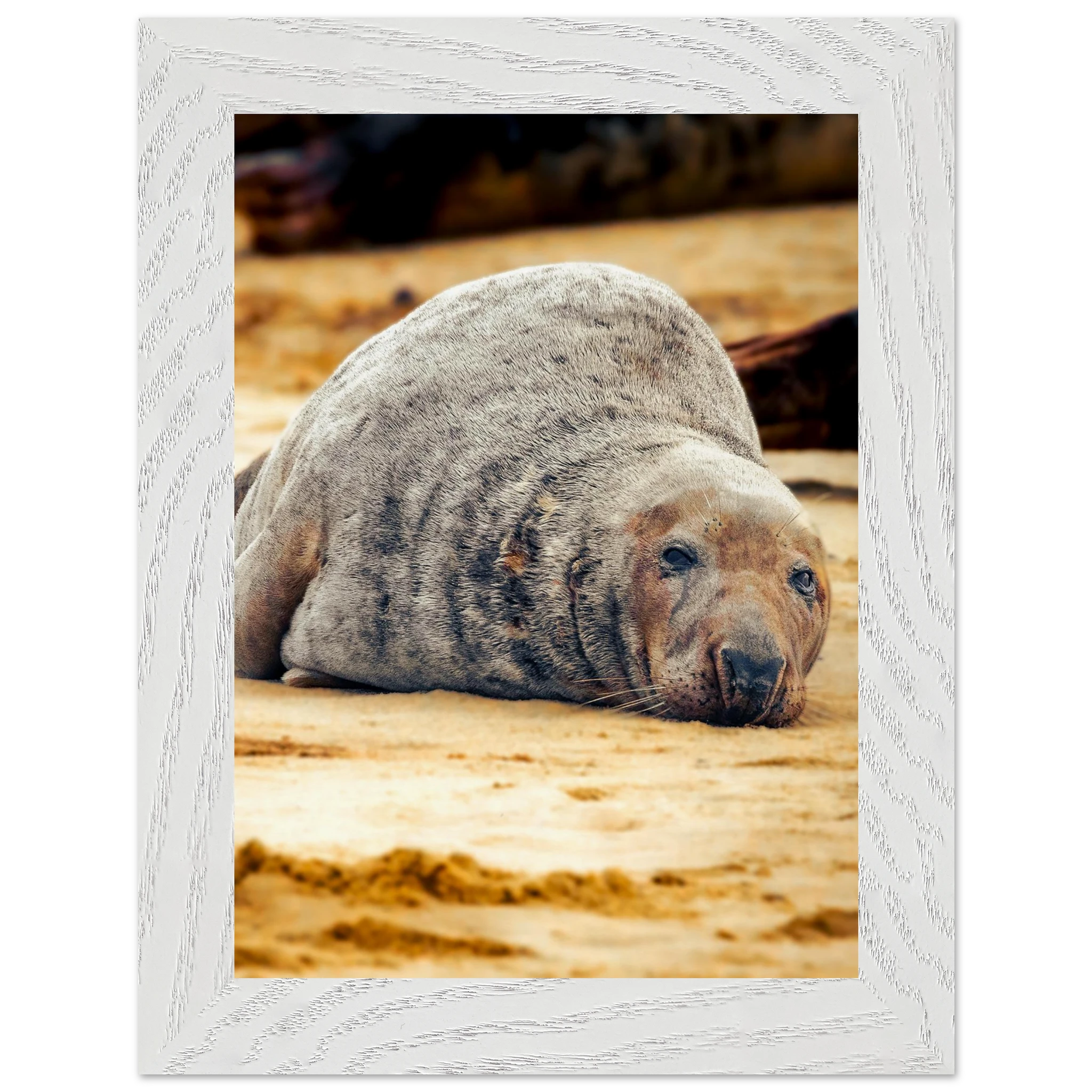 78bb3b53-e0f0-4bc6-95cd-0e4bc7967c1f