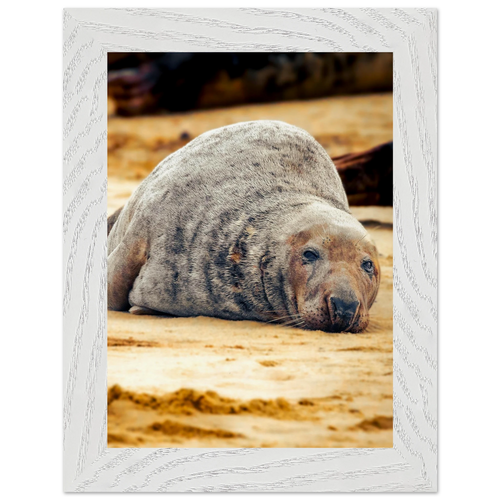 78bb3b53-e0f0-4bc6-95cd-0e4bc7967c1f