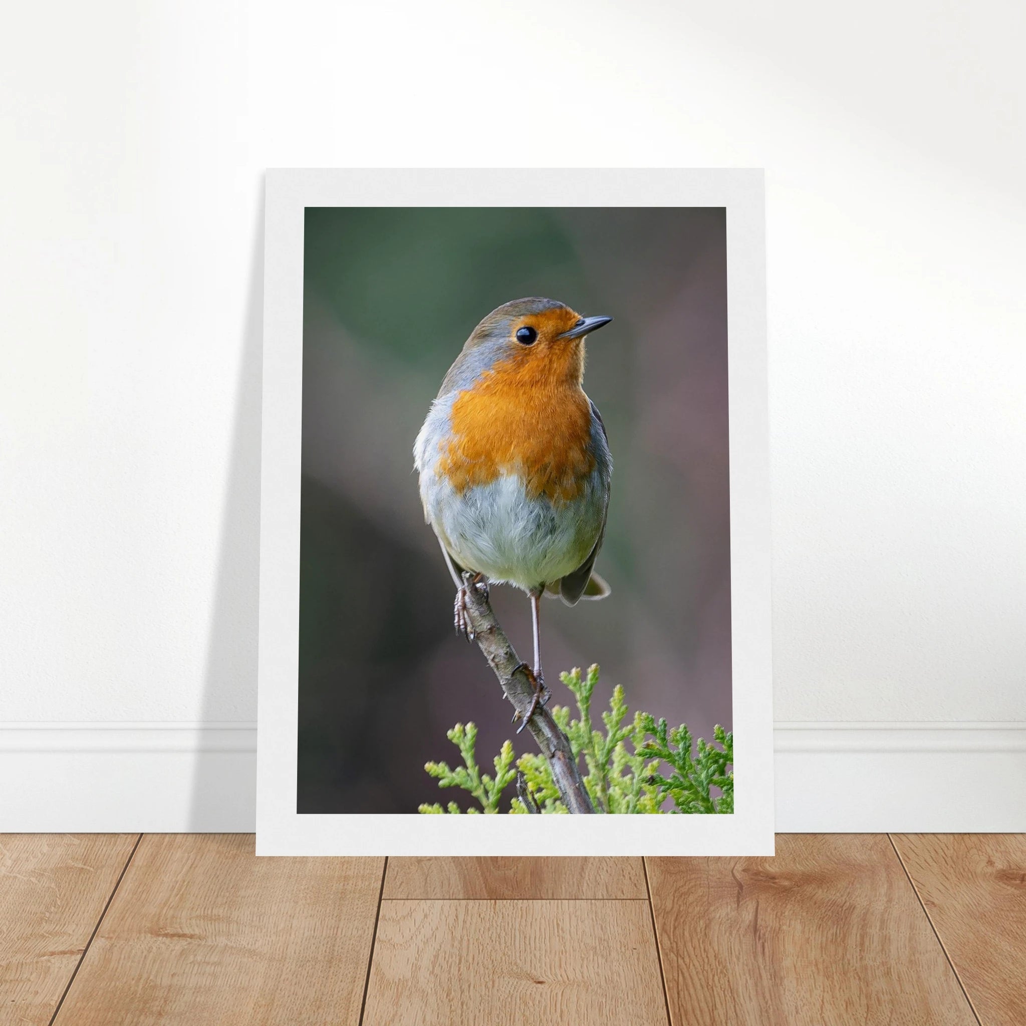 8d2ebb1f-df66-4478-bc09-693161471ff4