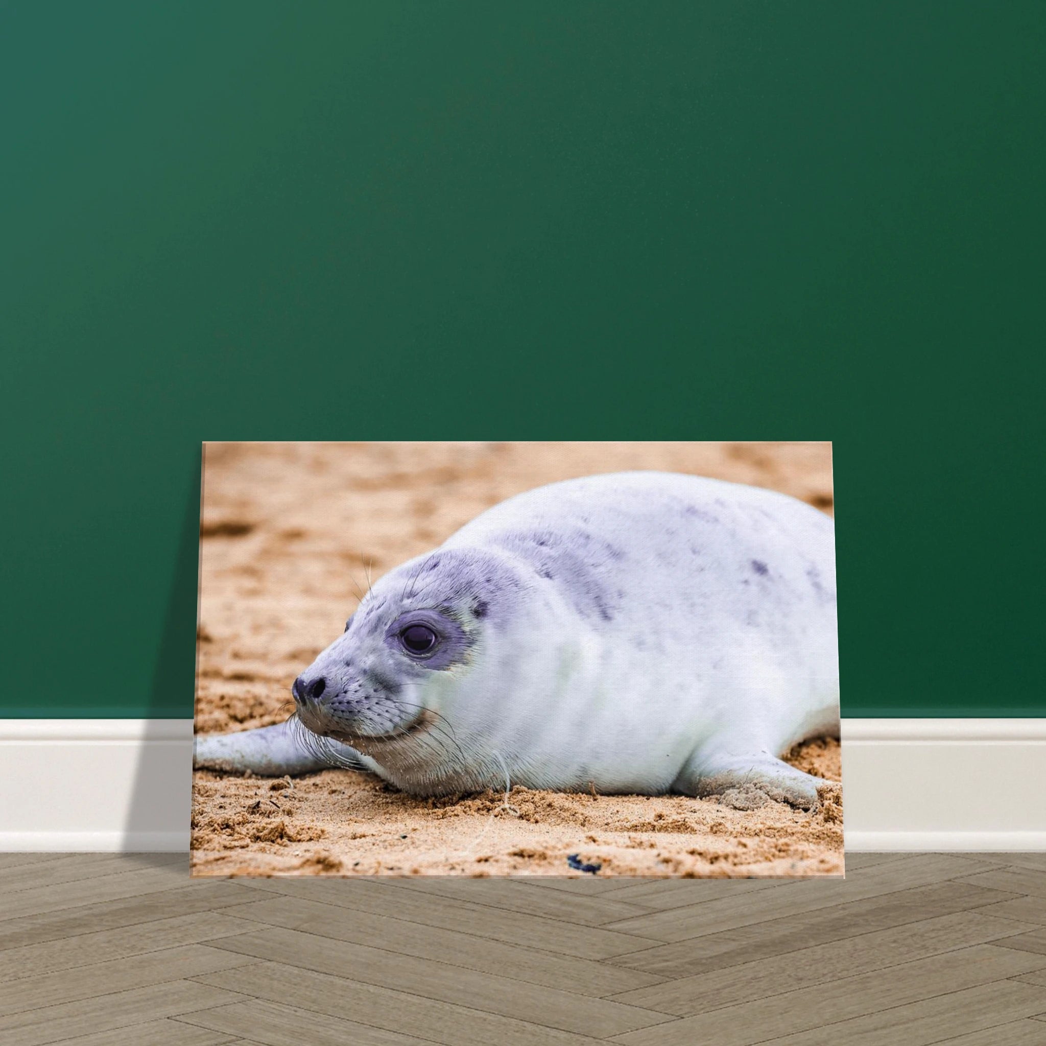 9c2d13d5-dbe0-4cc2-89ed-67e1fb508f52