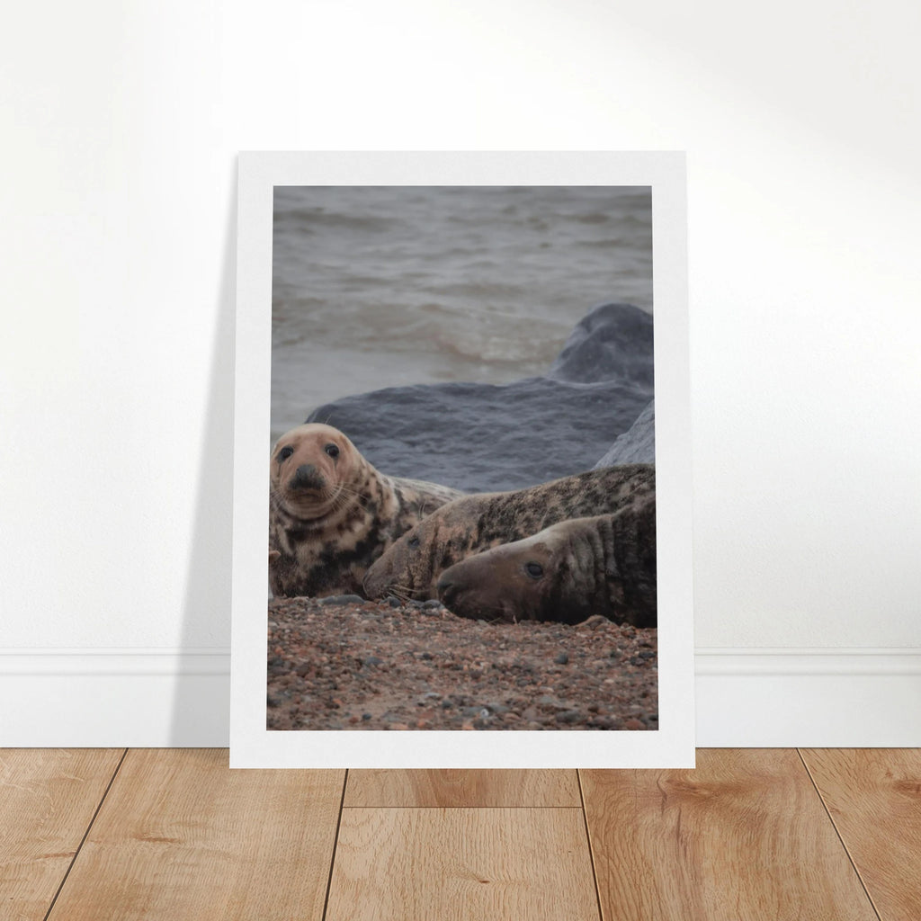 b7b4aa0c-e954-44af-917b-677f88ed7e9e