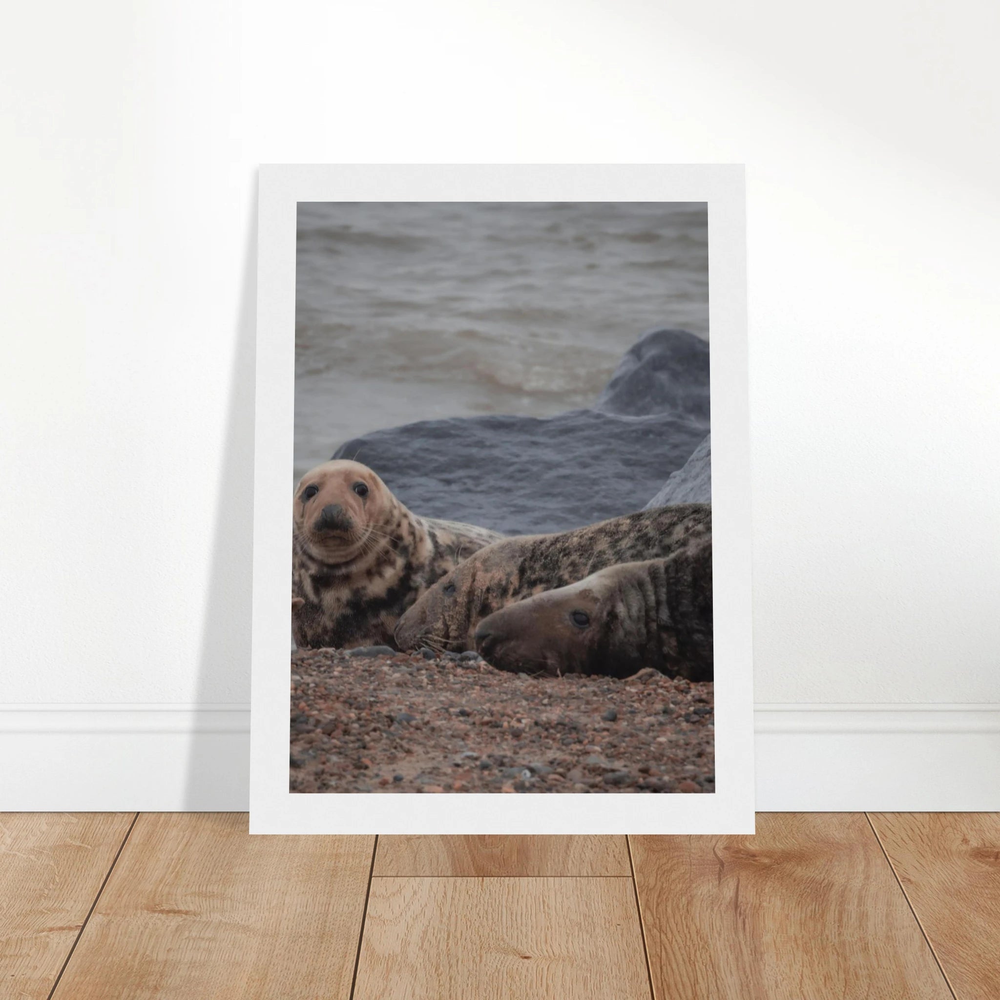 b7b4aa0c-e954-44af-917b-677f88ed7e9e