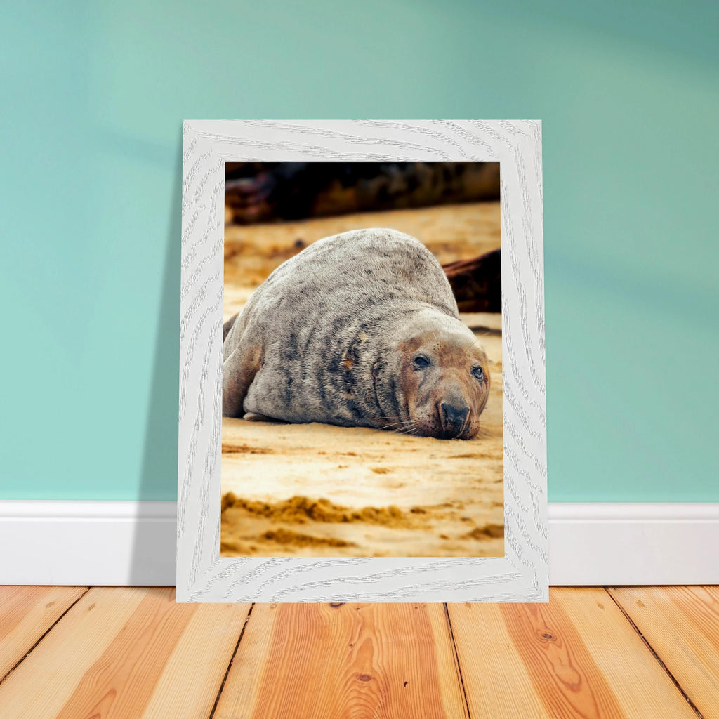 b8b5def6-e101-47de-88c8-3dea60b4bca5