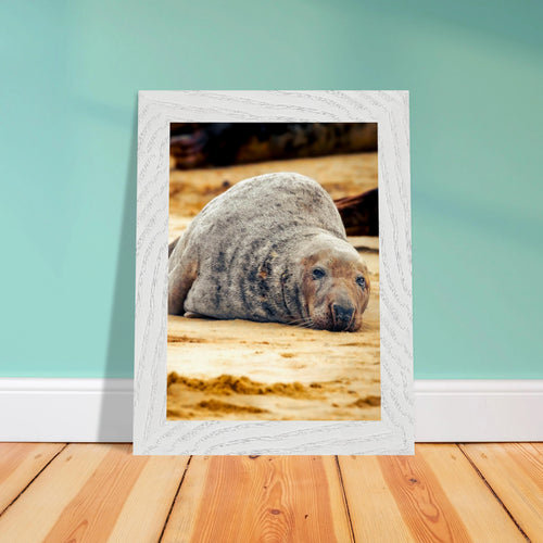 b8b5def6-e101-47de-88c8-3dea60b4bca5