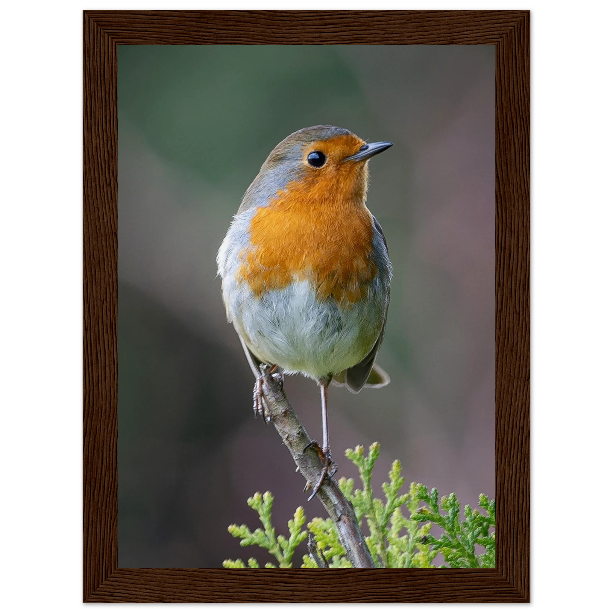 b9e70152-9a7a-41a1-a611-438bca17c43b