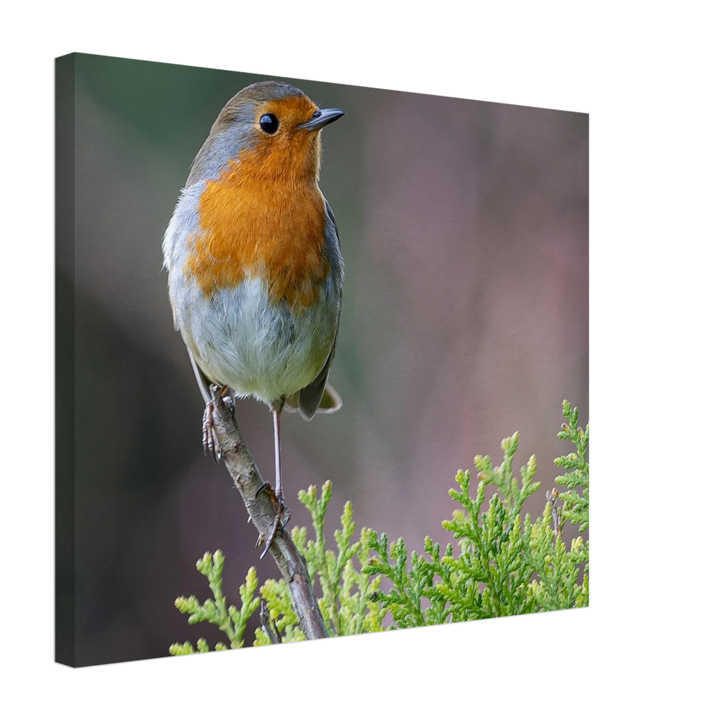 c0d8e02c-4e2d-4635-8056-17349796f038