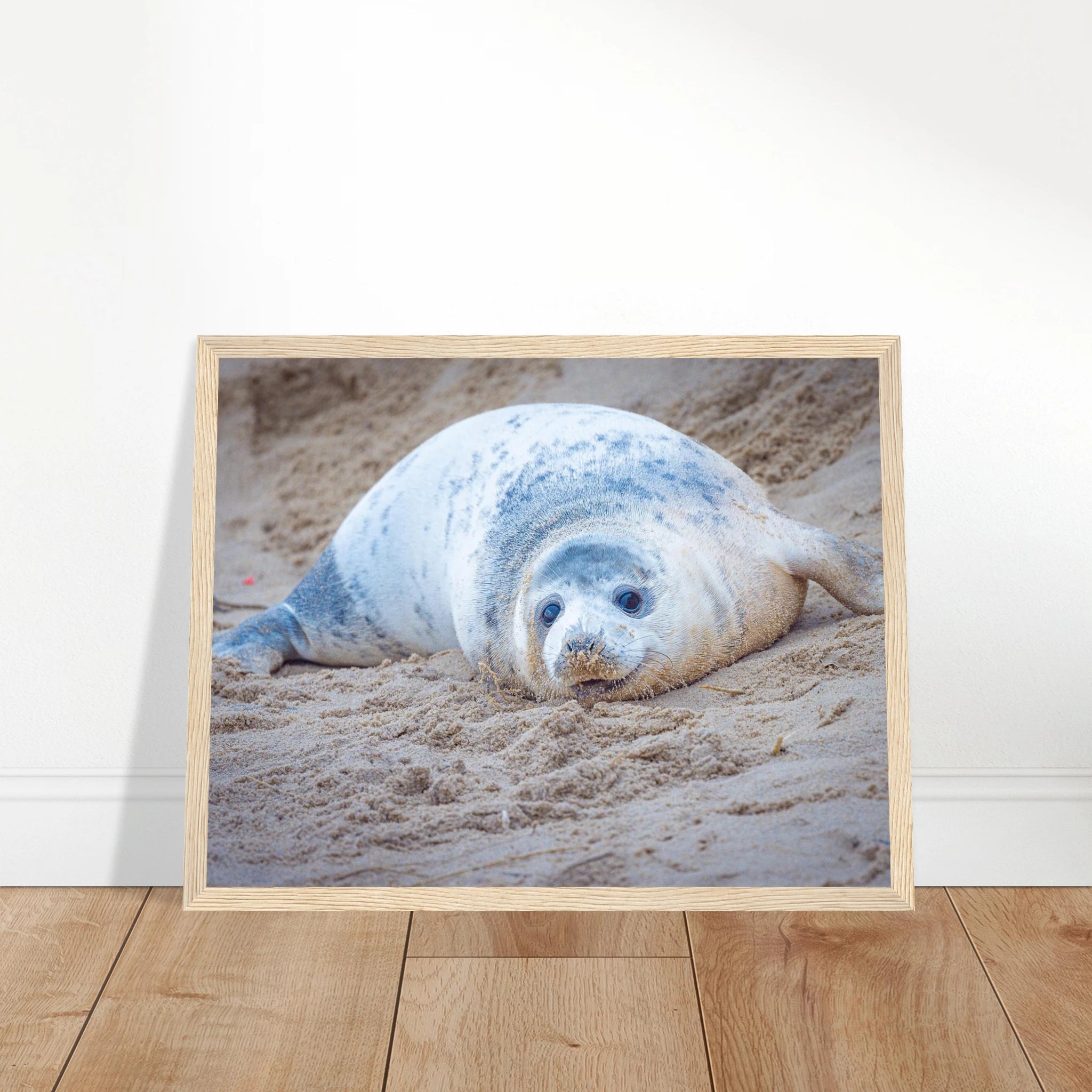 c5266ad1-346c-4f3b-bb93-47ba3ba90ec1