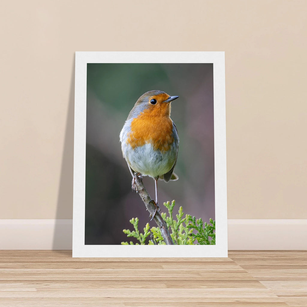 c534580c-b9c1-4e32-9f4b-55c9775b3663