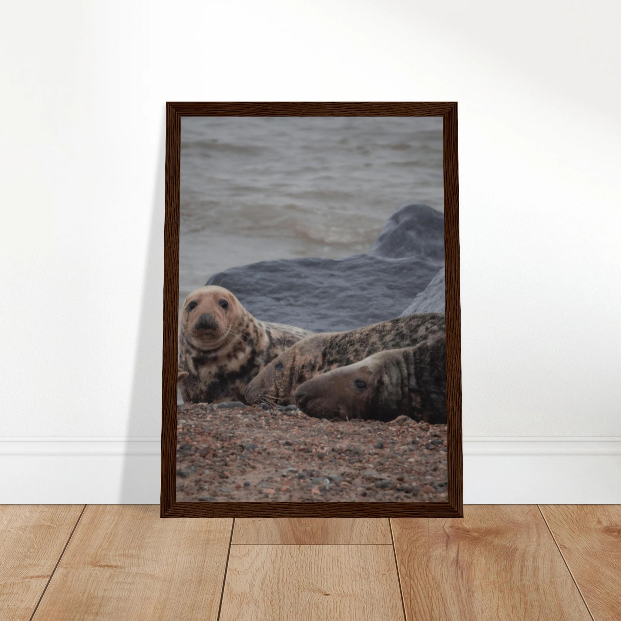 c56bb830-5e57-4393-9791-e482bfe23489