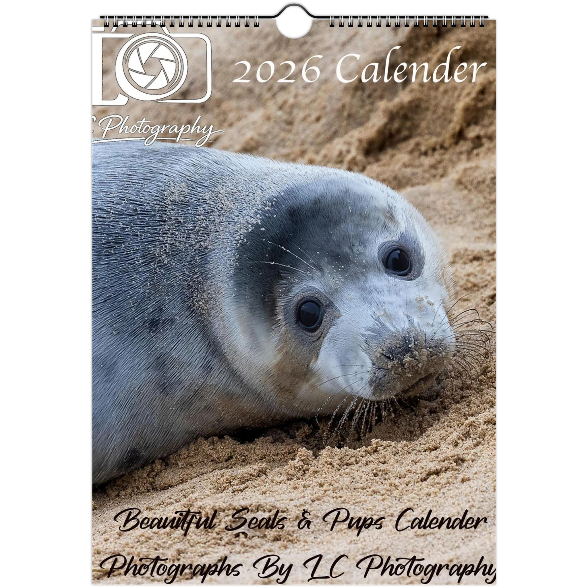 cc5a6604-58e8-4a24-9720-8f5b4a8a6b42