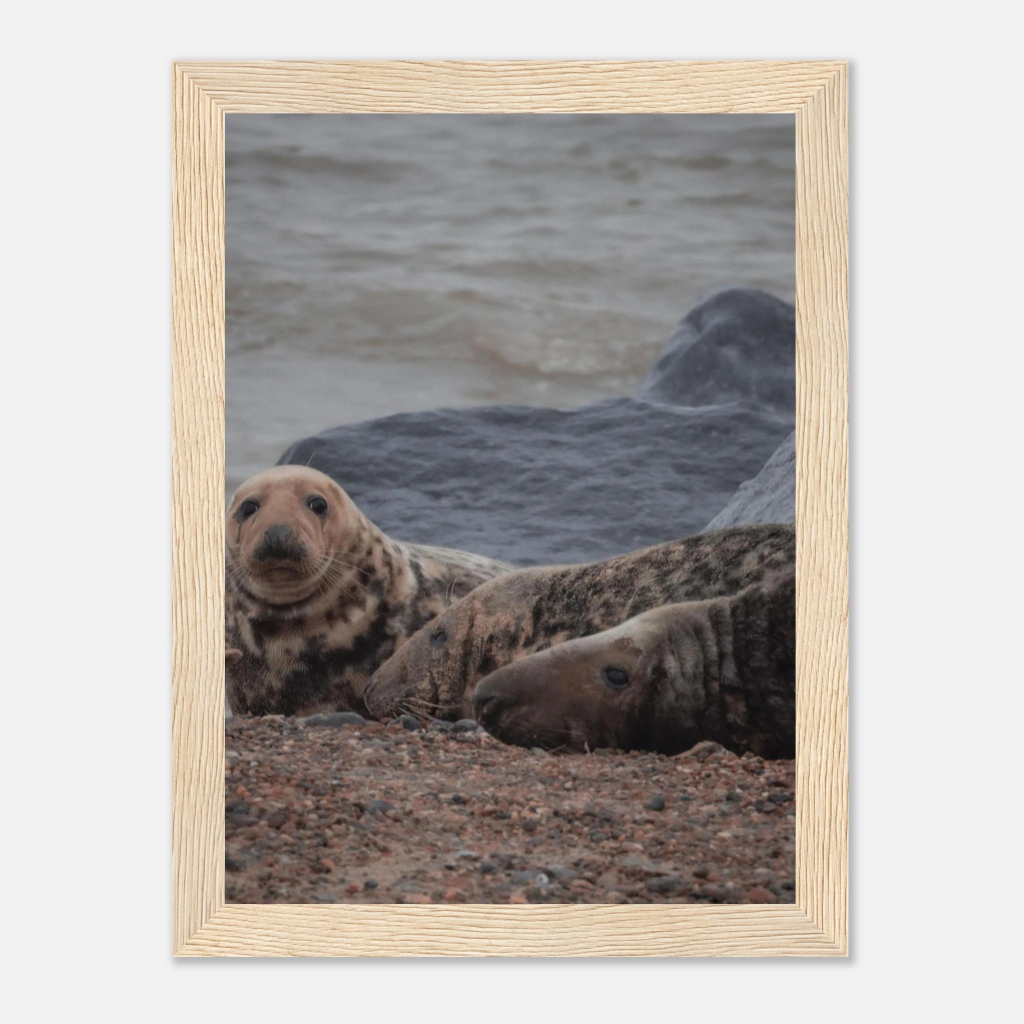 d1da664c-2bd9-40f9-a4a4-4f5a2f979650