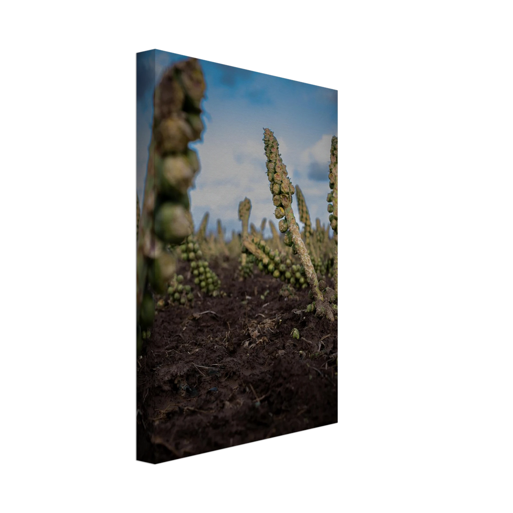 d325b97f-f79d-4ce2-b745-f977f51b7e66