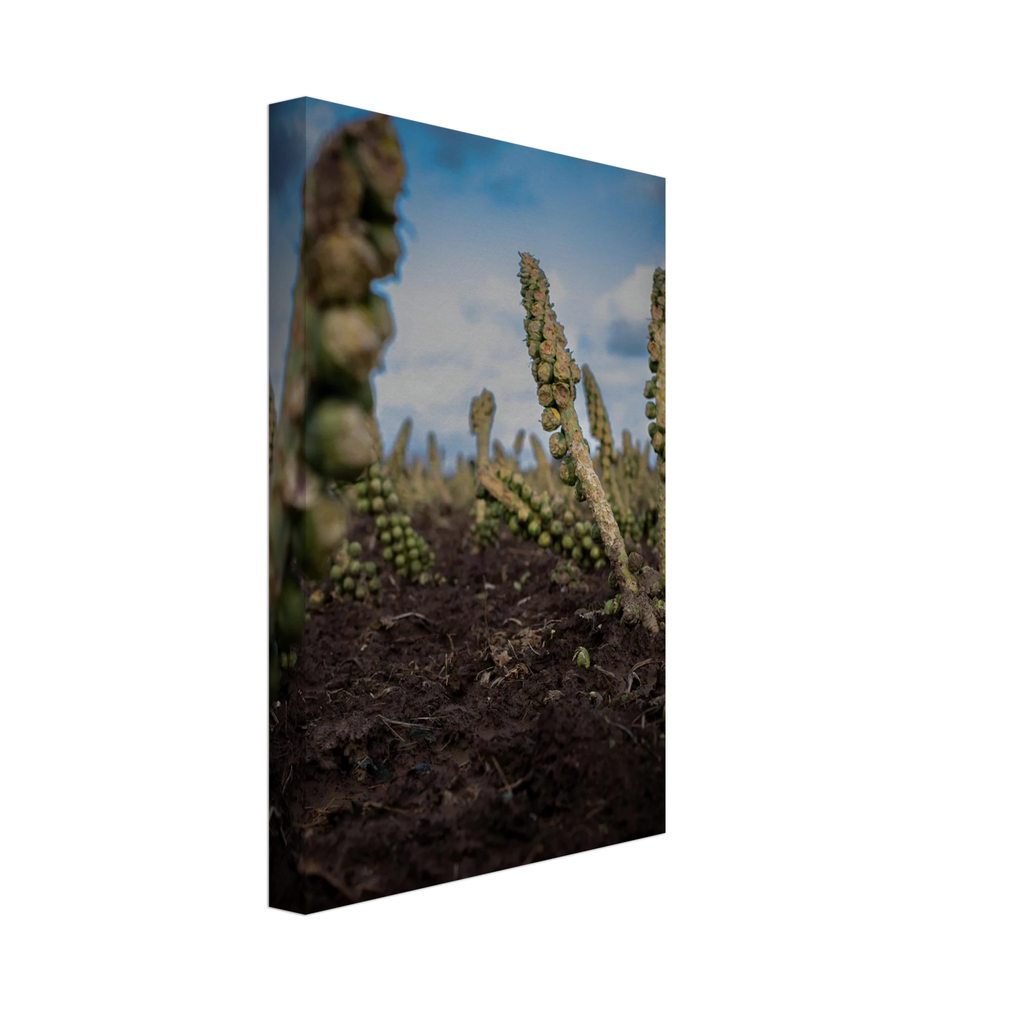 d325b97f-f79d-4ce2-b745-f977f51b7e66