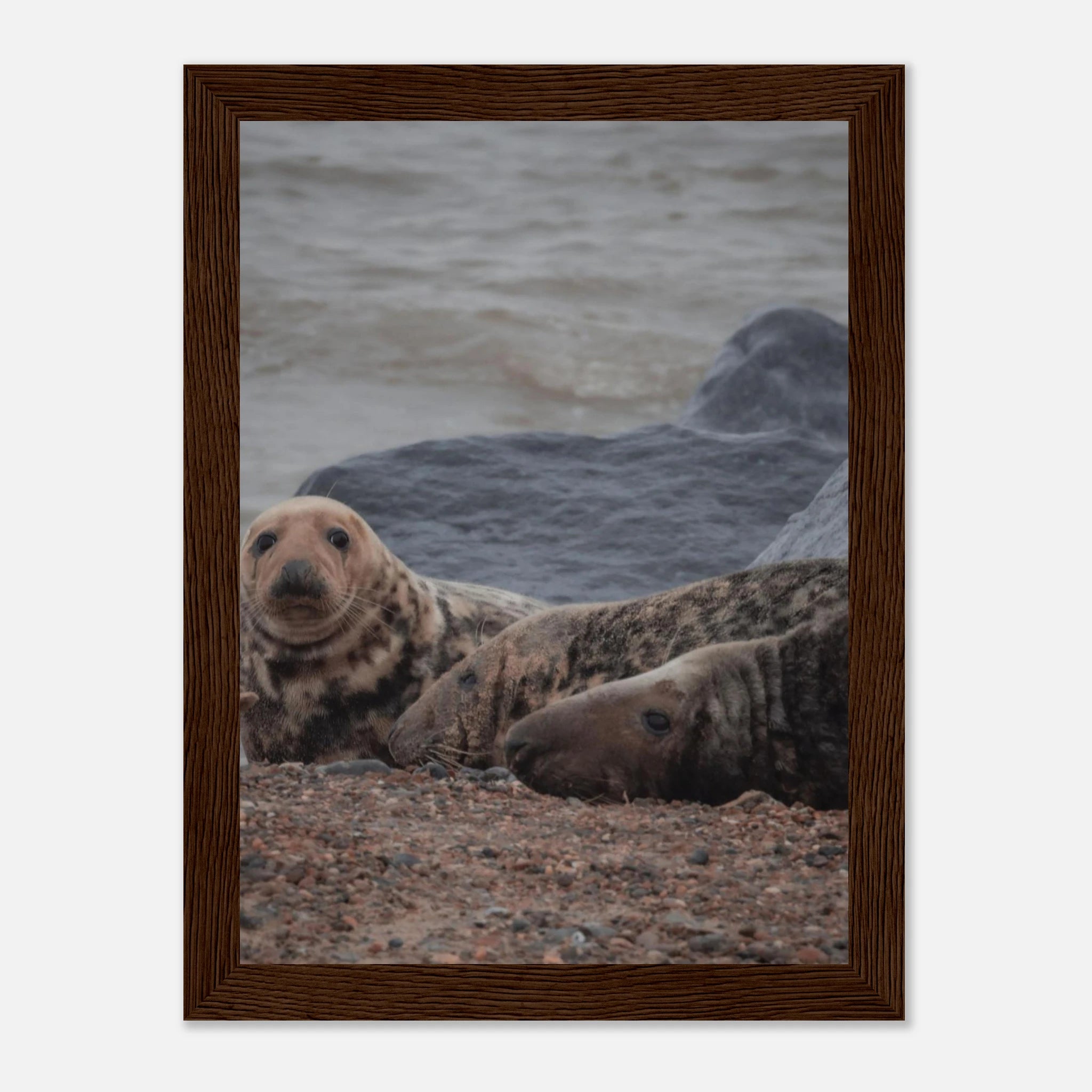 dab214bf-e37b-4a23-bc60-16b2055414f0