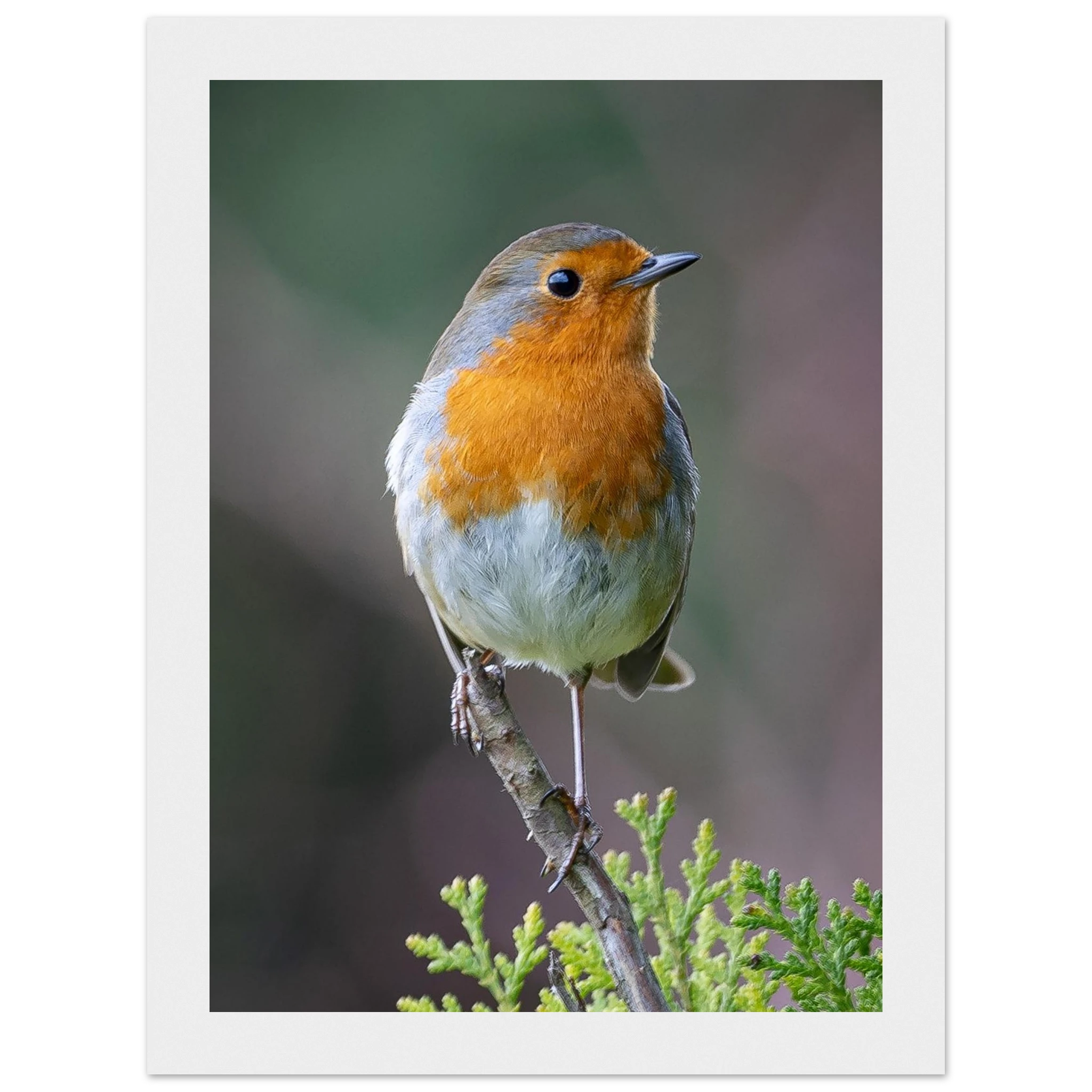 db4ce652-6cf3-4f87-bbb6-a2a42424652f