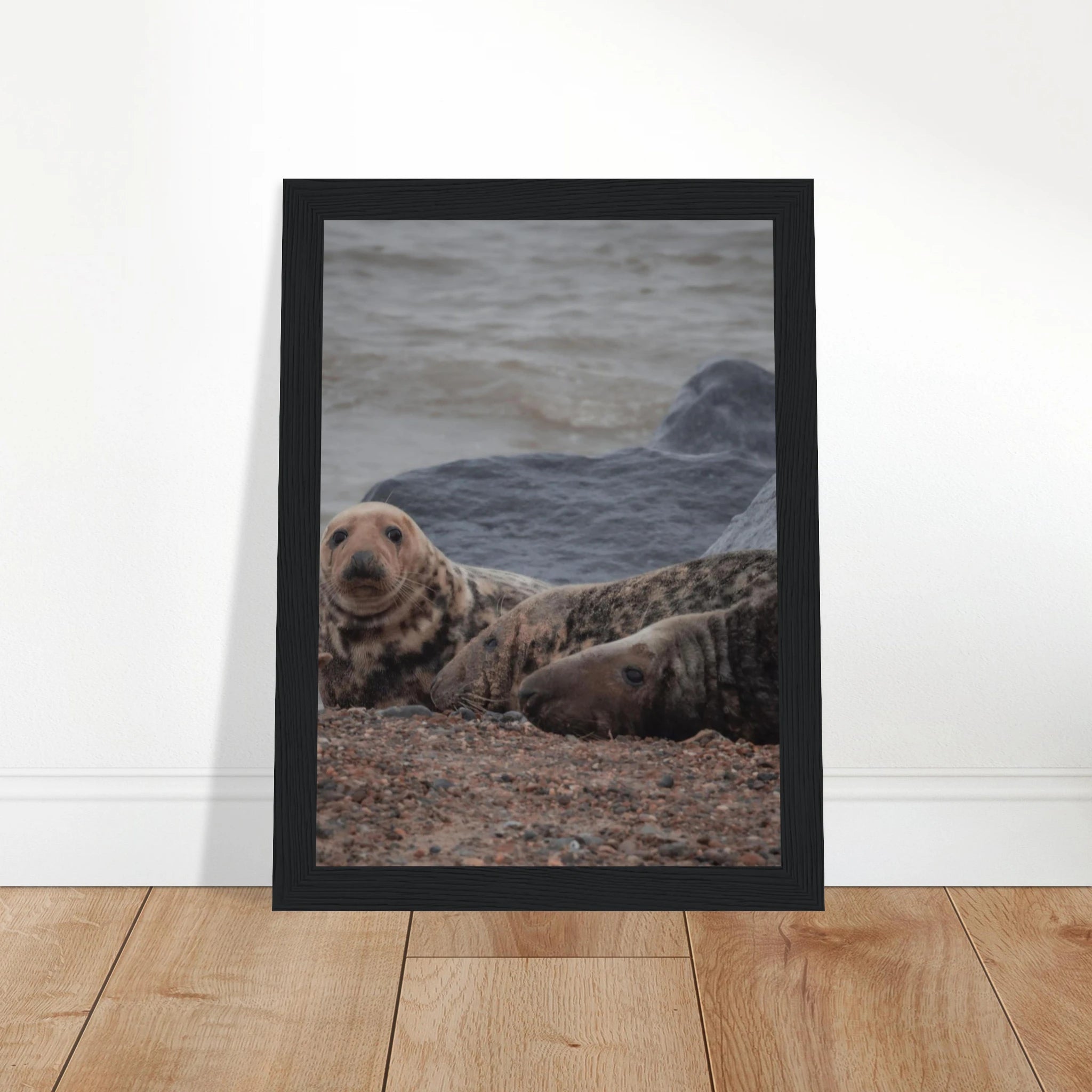 e1302fc7-22bb-430c-9390-449883af9d71