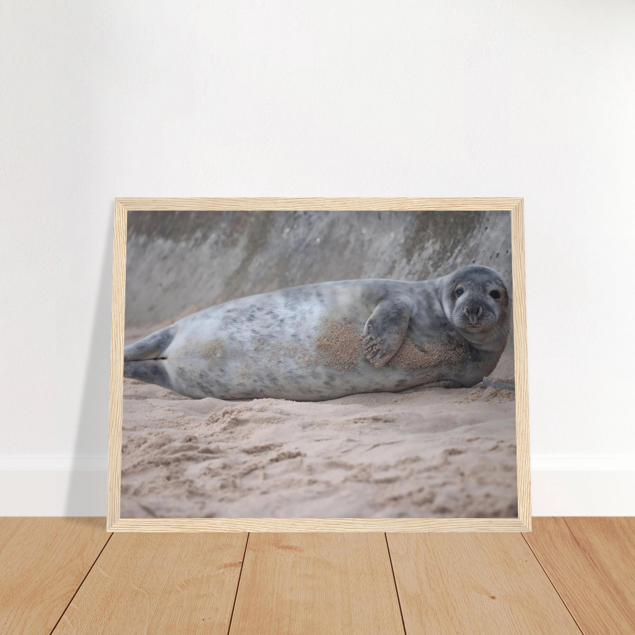 e6e9b2e0-527d-453f-bf6f-0c54b7f8ff02