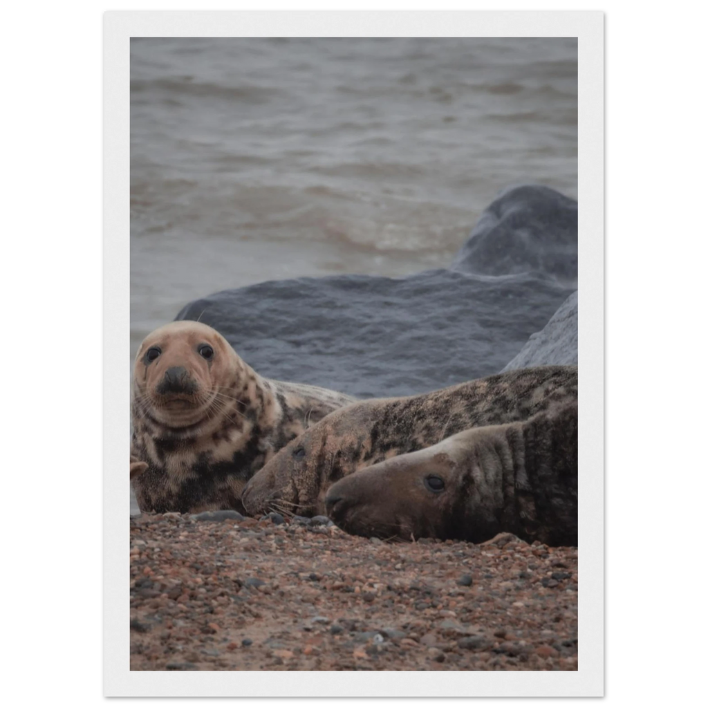 f8988863-1034-456f-8de5-12151e25e0ae