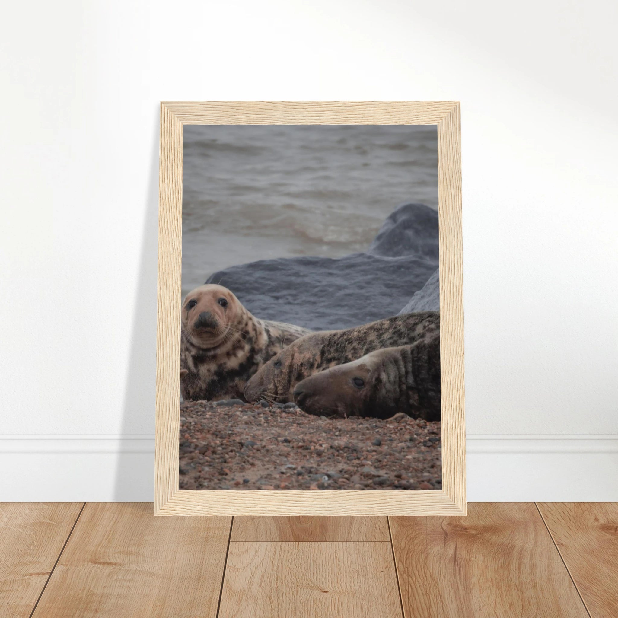 fabdcec6-43ab-4b60-859b-88c297946ca5